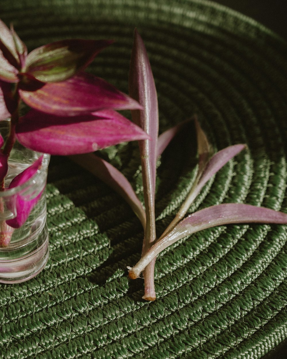 a small glass vase with a pink flower in it