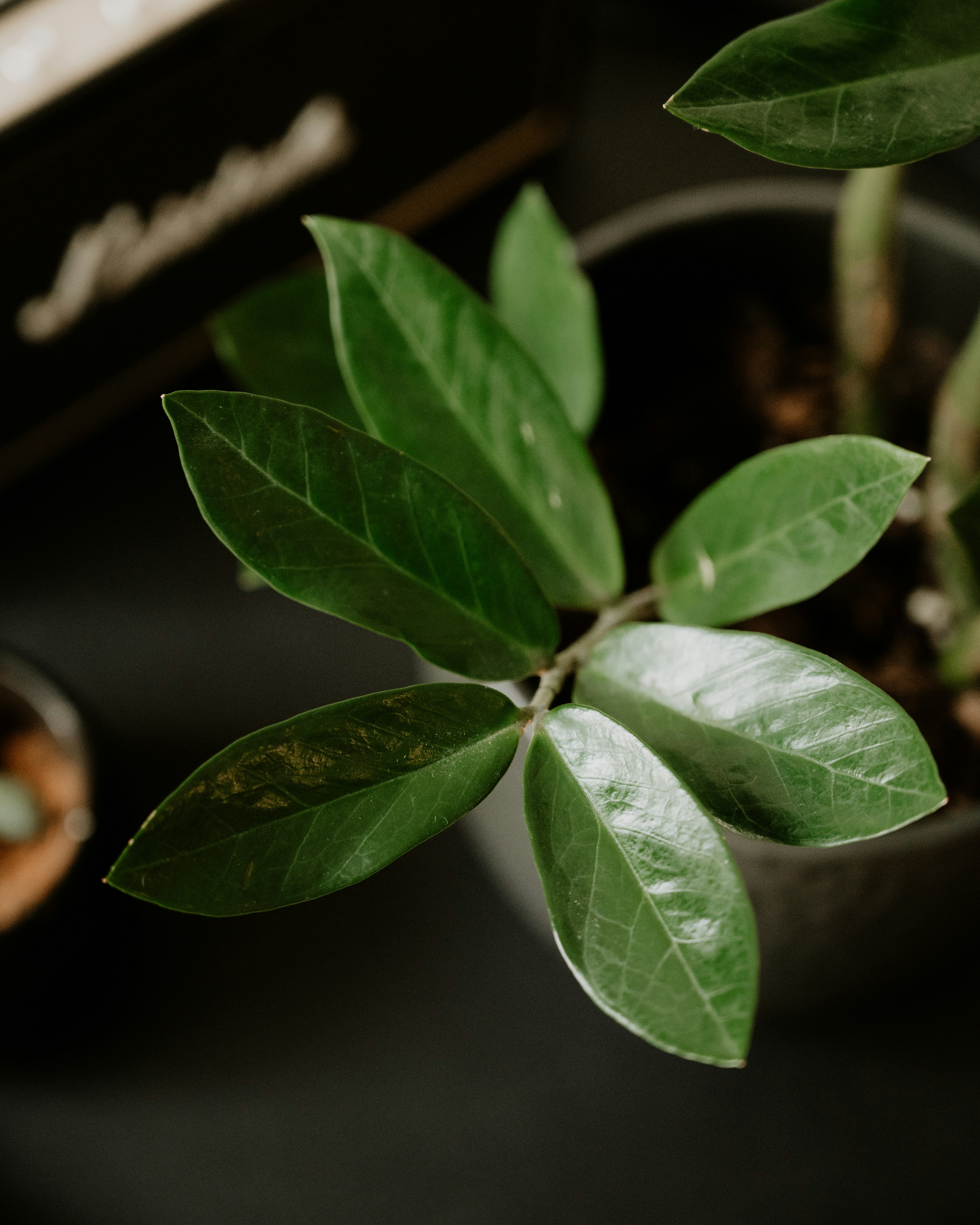 Photo by virginiaphotostories