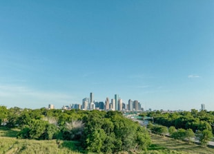 A vibrant downtown Dallas skyline with green trees blending into the cityscape.