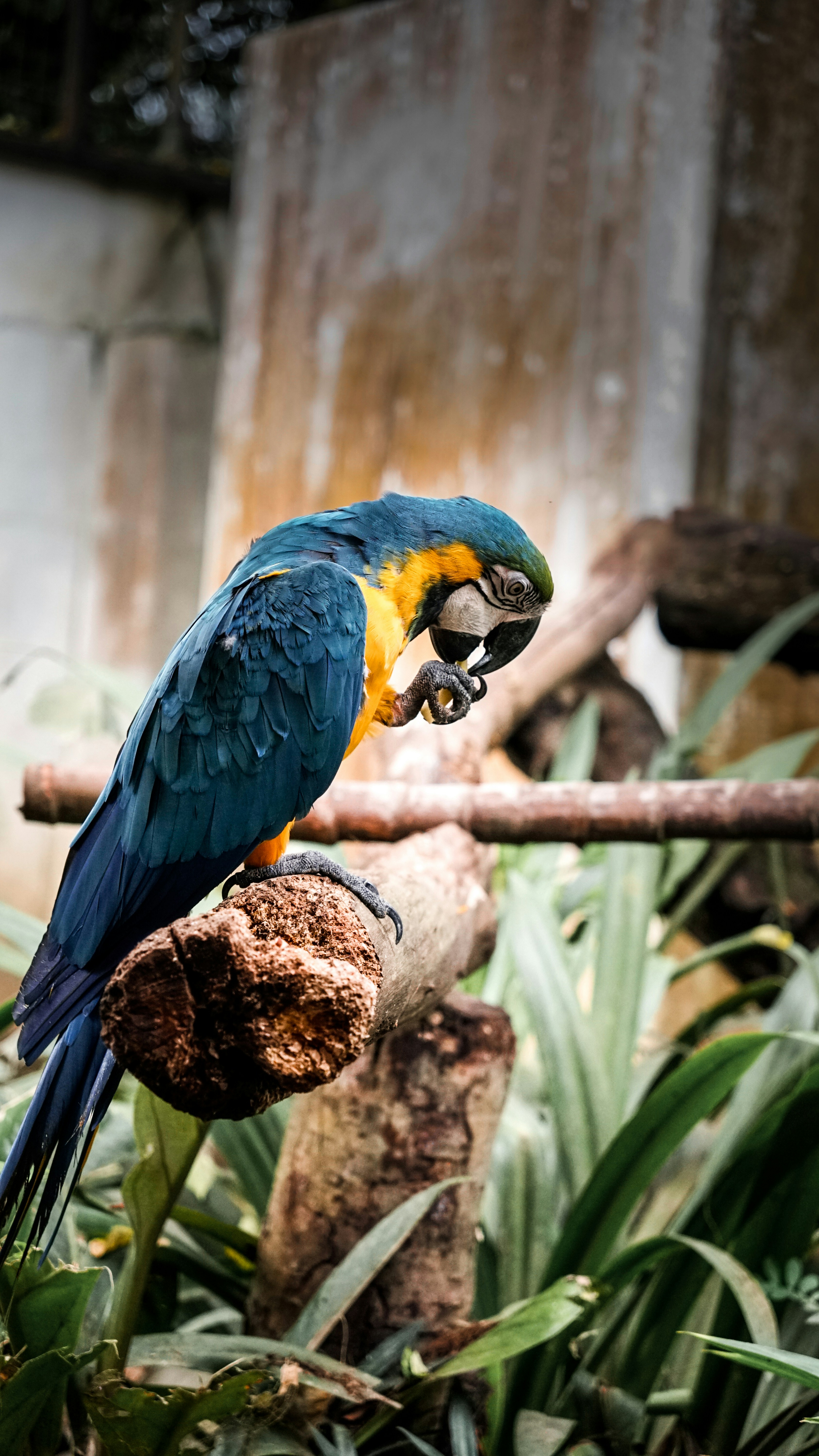 Photo by visualbyfath