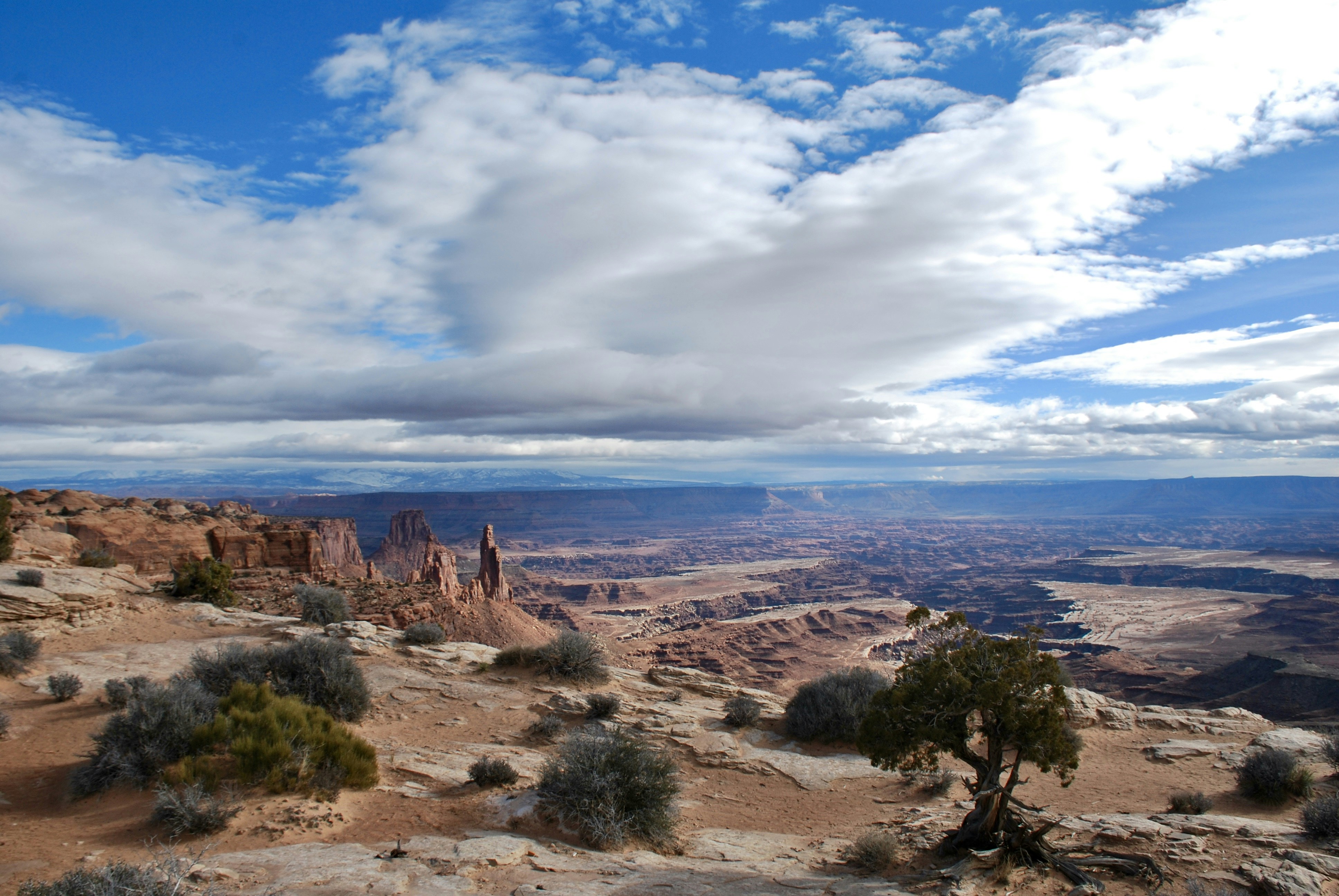 a scenic view of the desert with a few trees