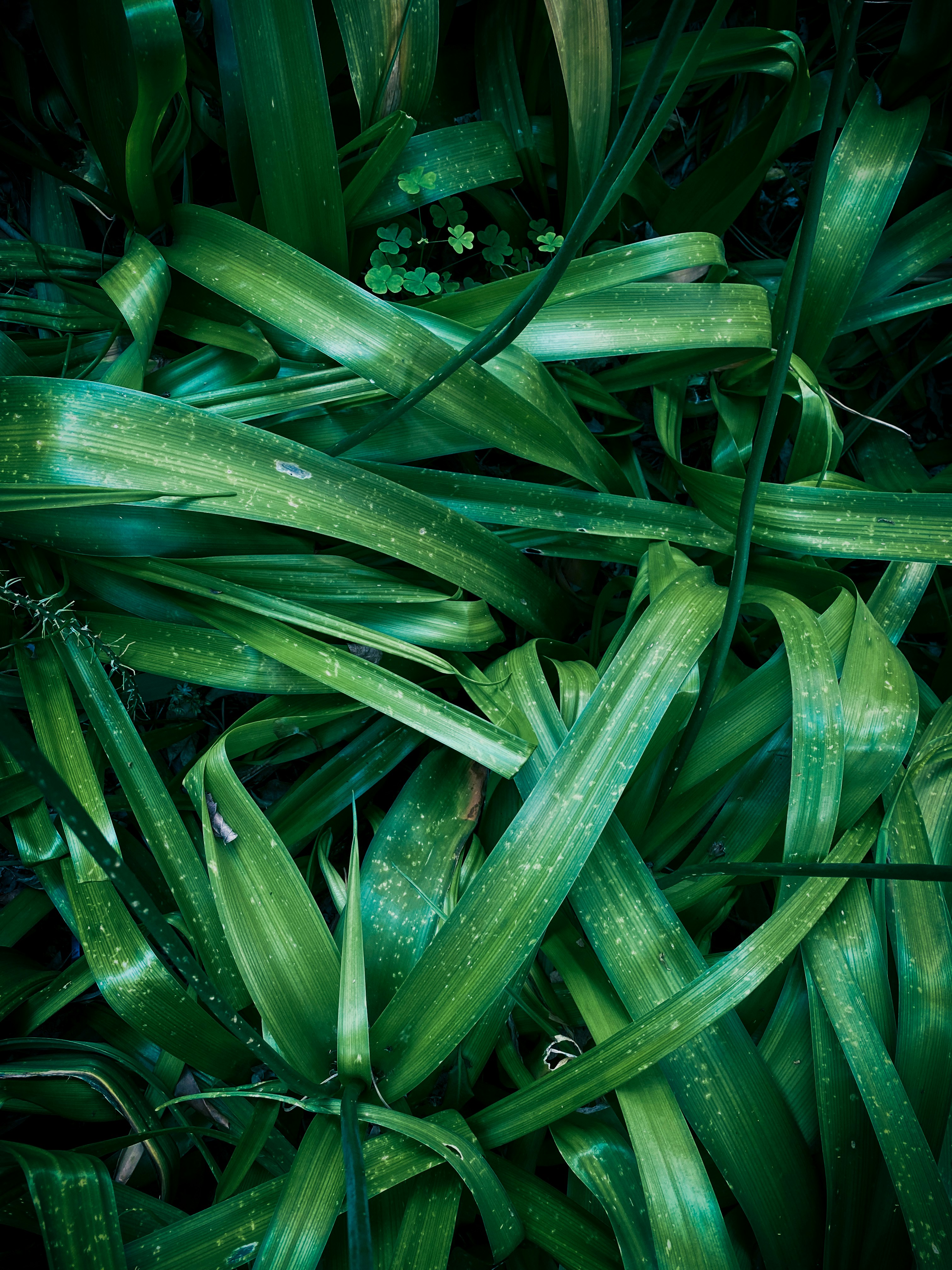 Photo by suhailkat