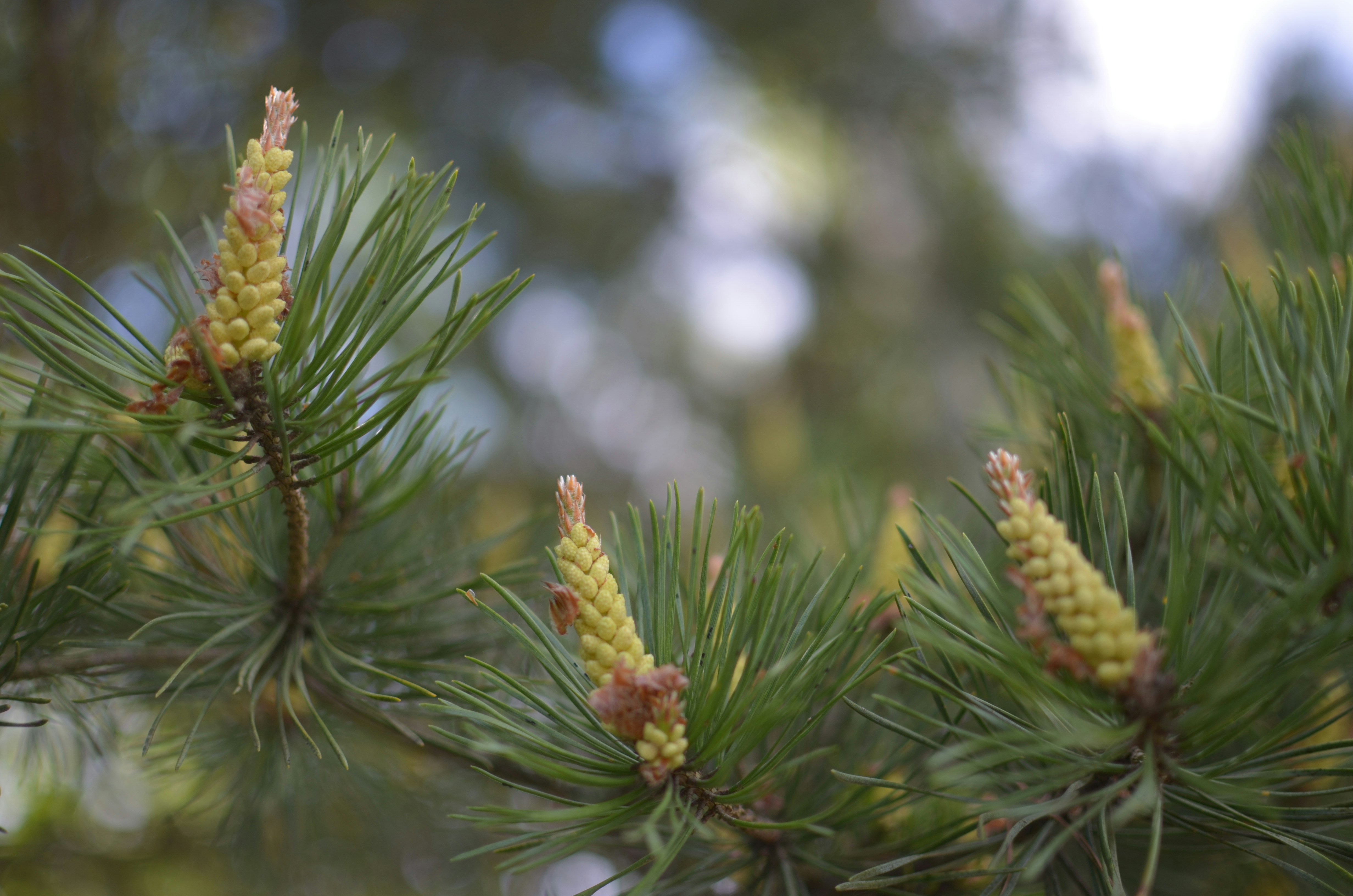 Photo by sergeybuharev