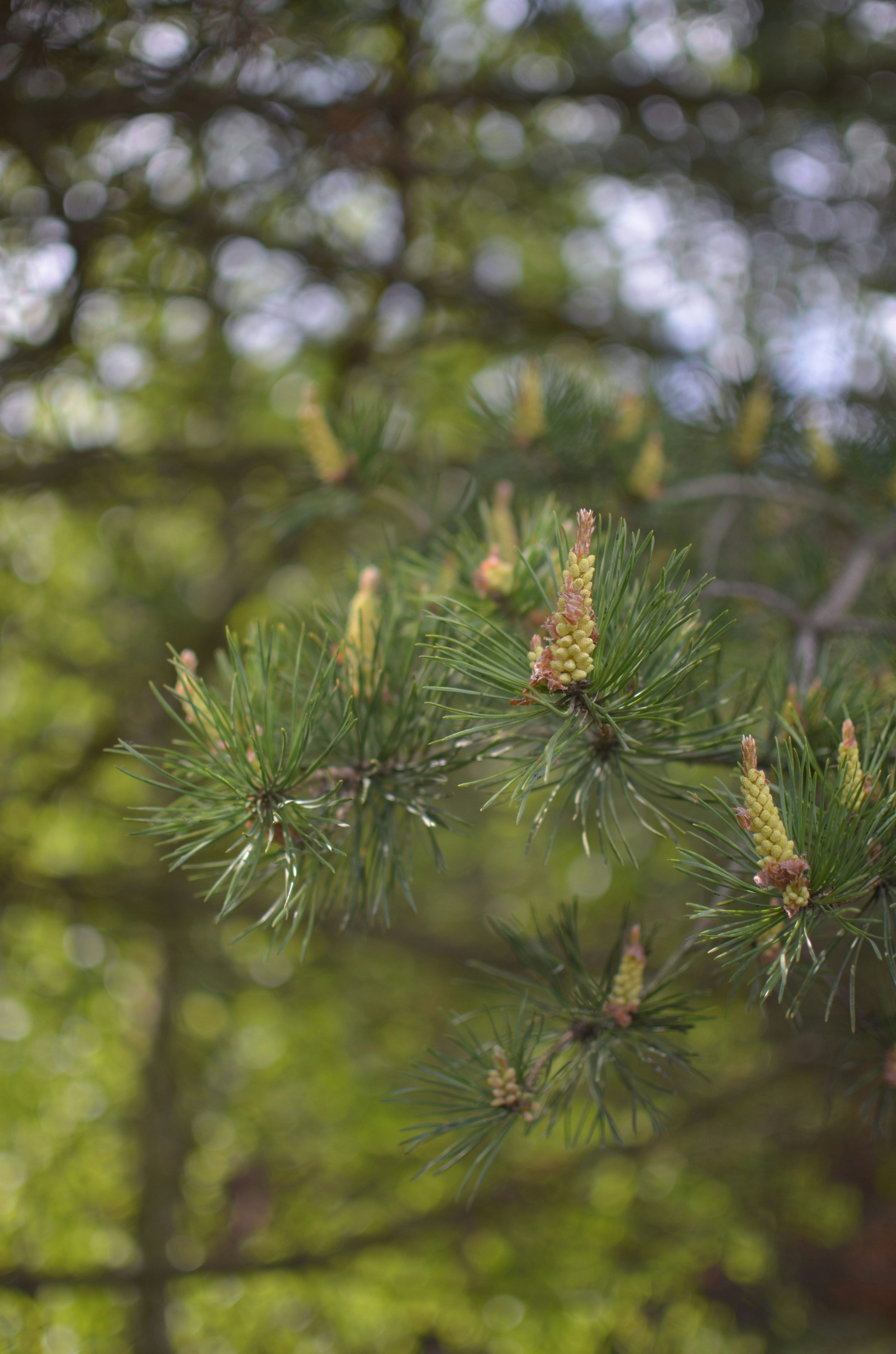 Photo by sergeybuharev