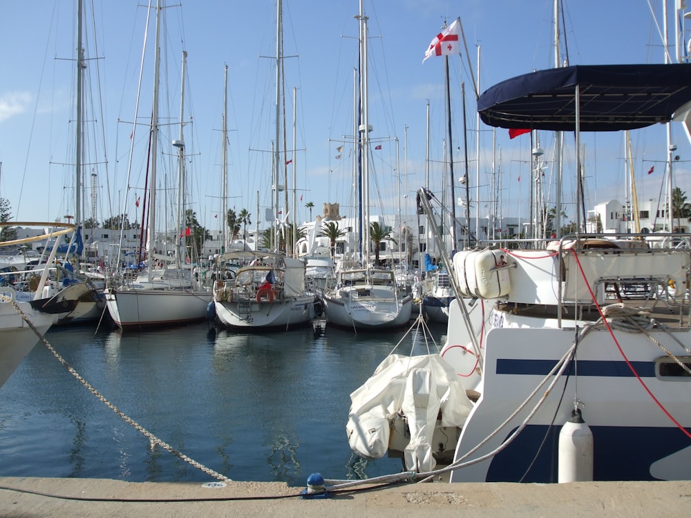 a group of sailboats docked in a harbor