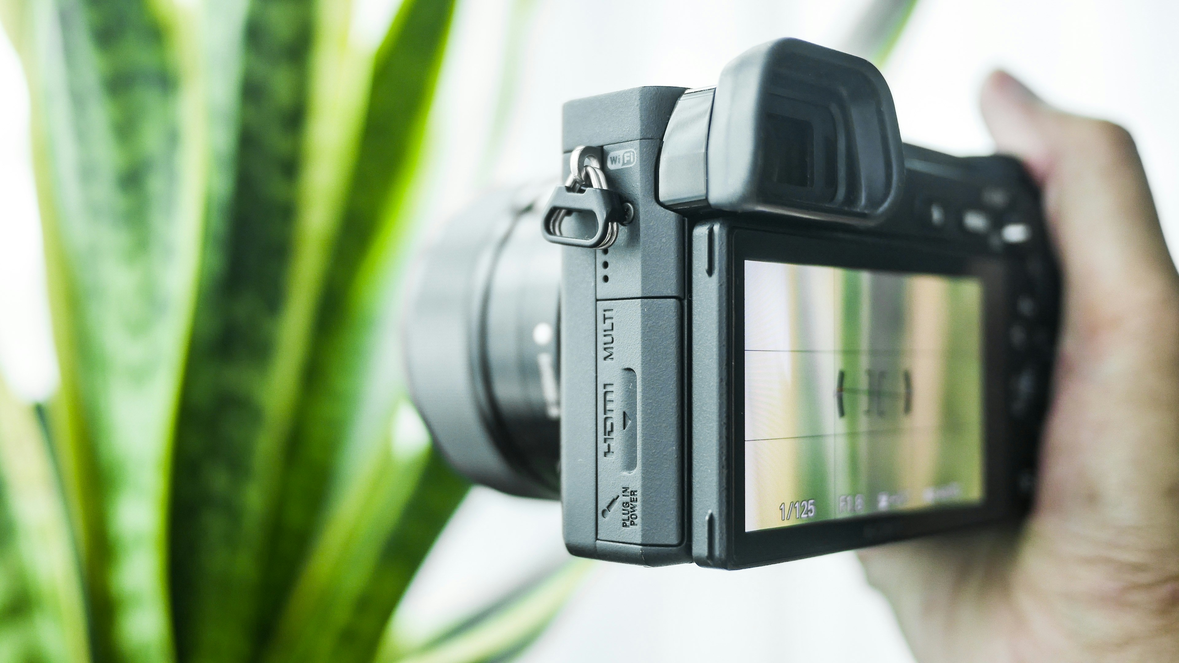 una persona che tiene in mano una macchina fotografica per scattare una foto