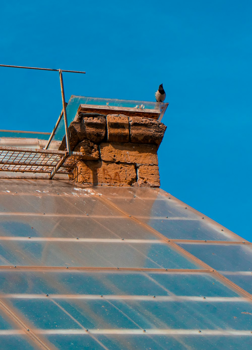 a bird sitting on the edge of a roof