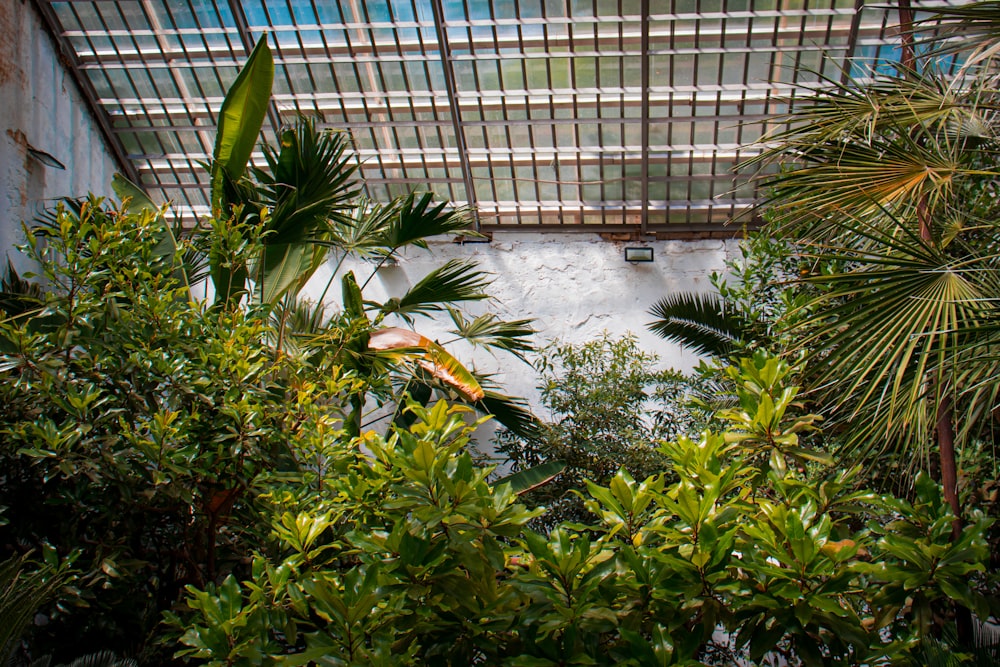 a view of a building through some trees