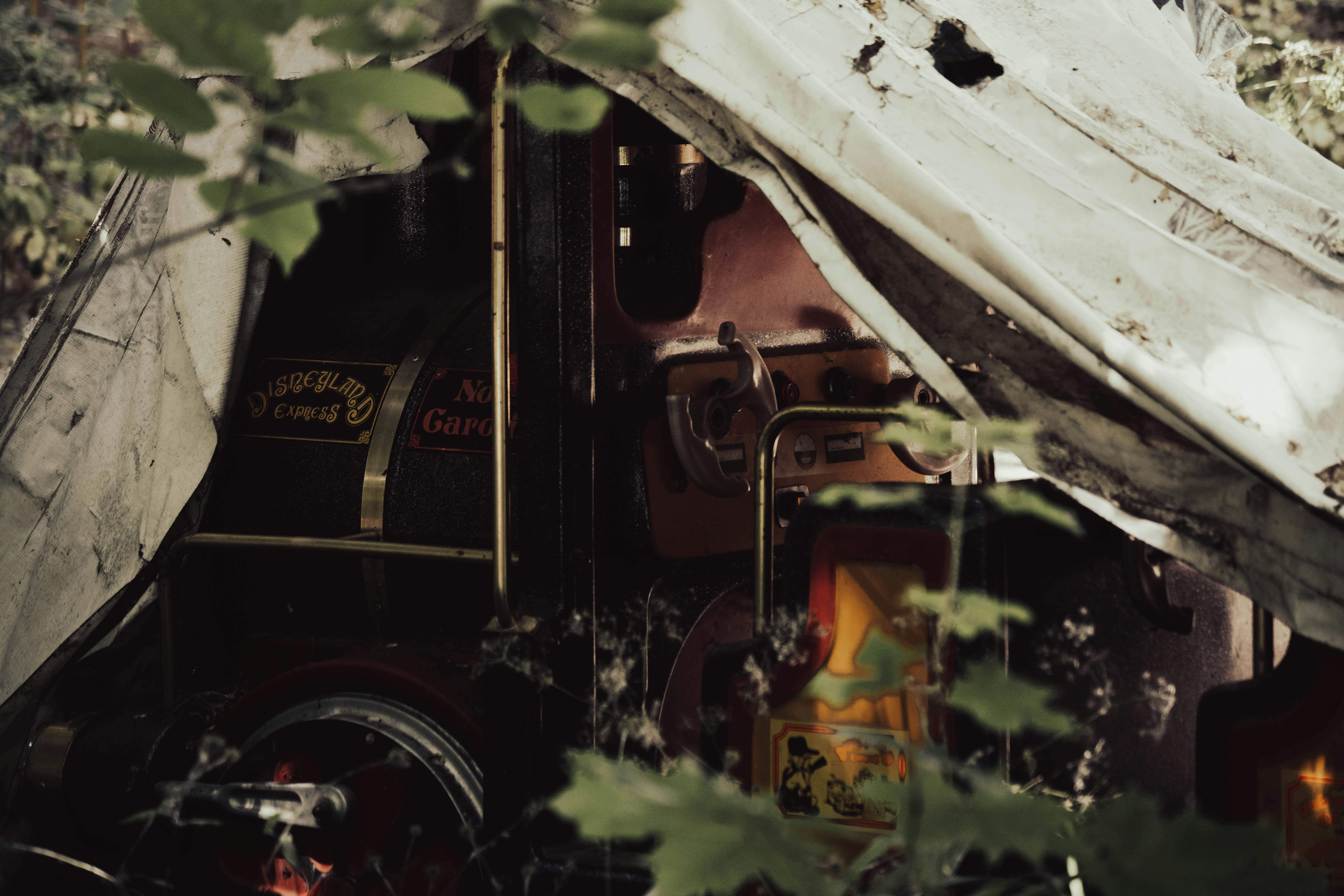a broken down truck sitting in a forest
