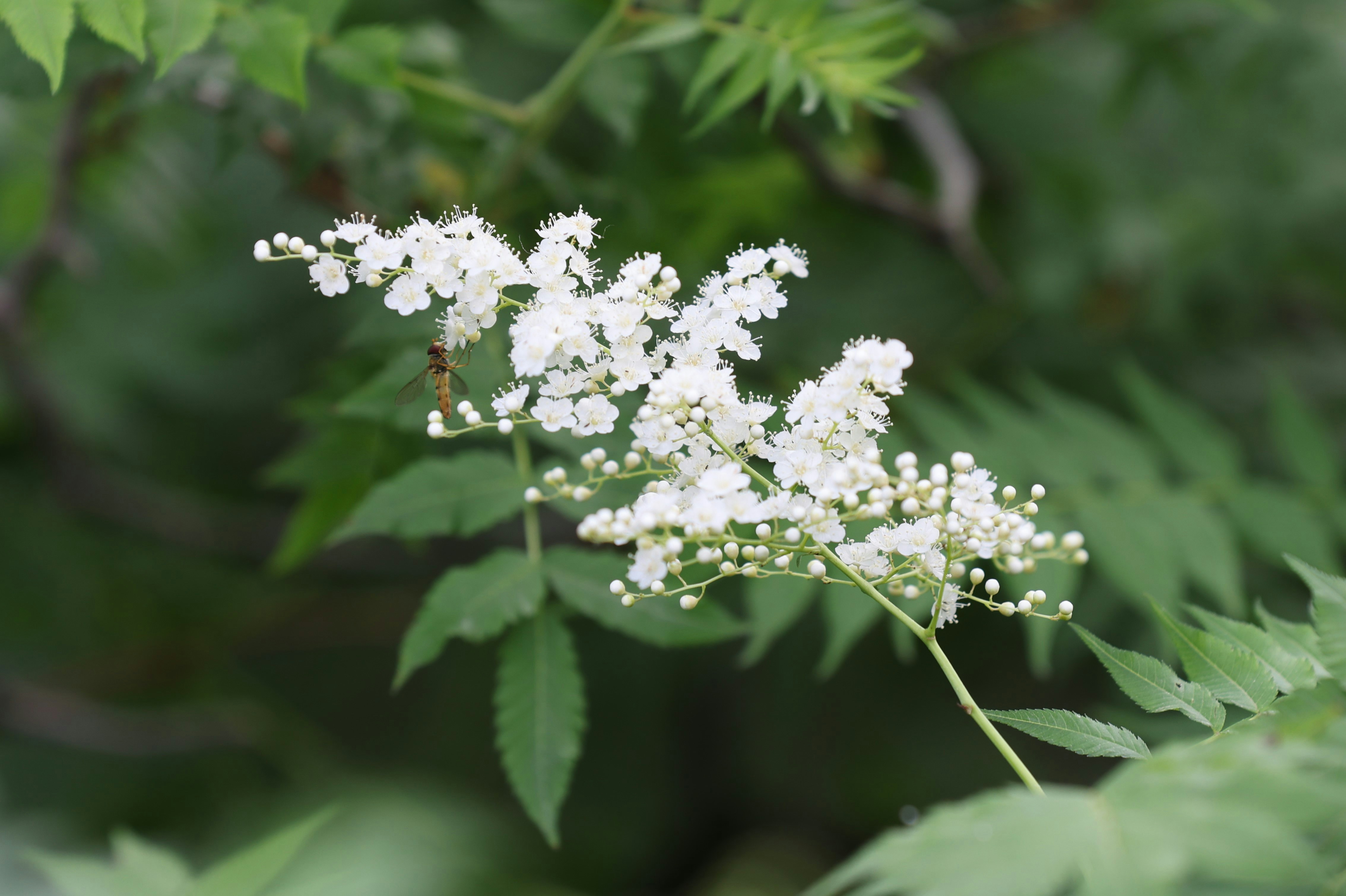 Photo by stevenjoezhang