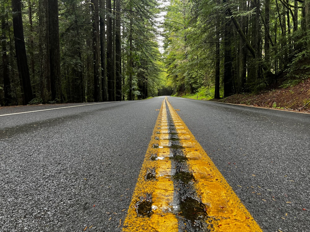 uma linha amarela em uma estrada no meio de uma floresta