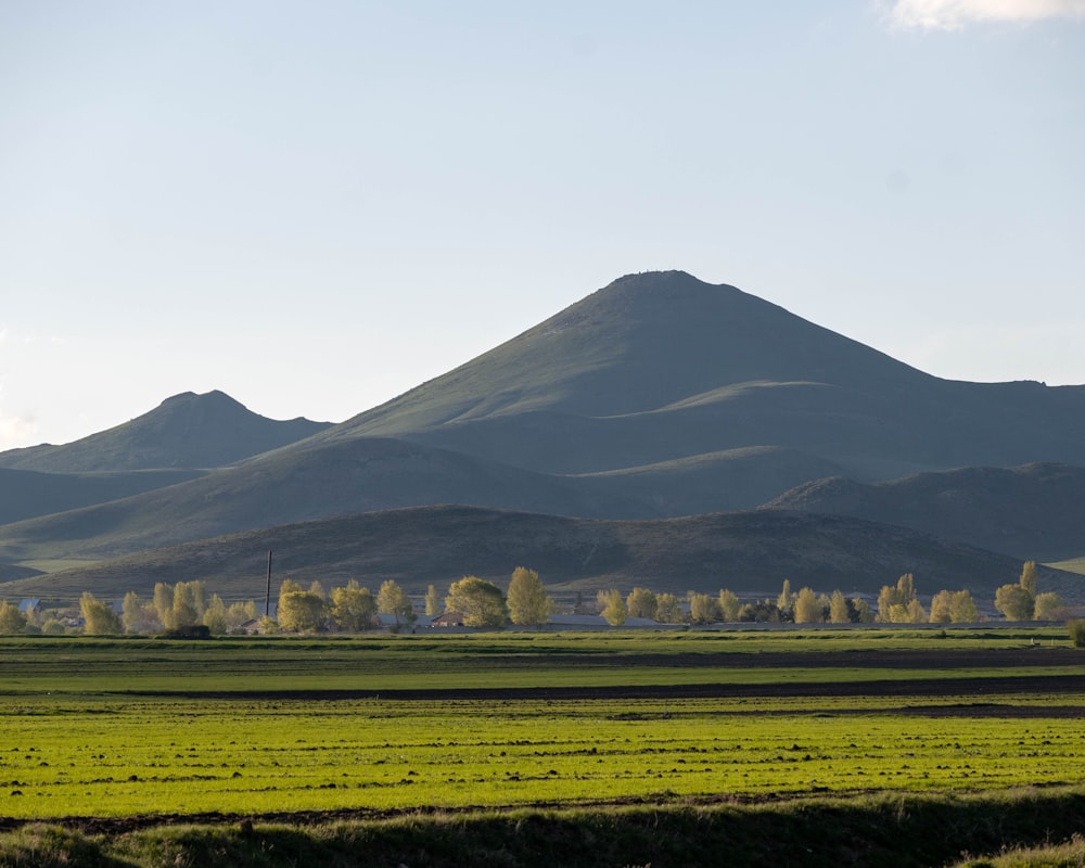 a field with a mountain in the background