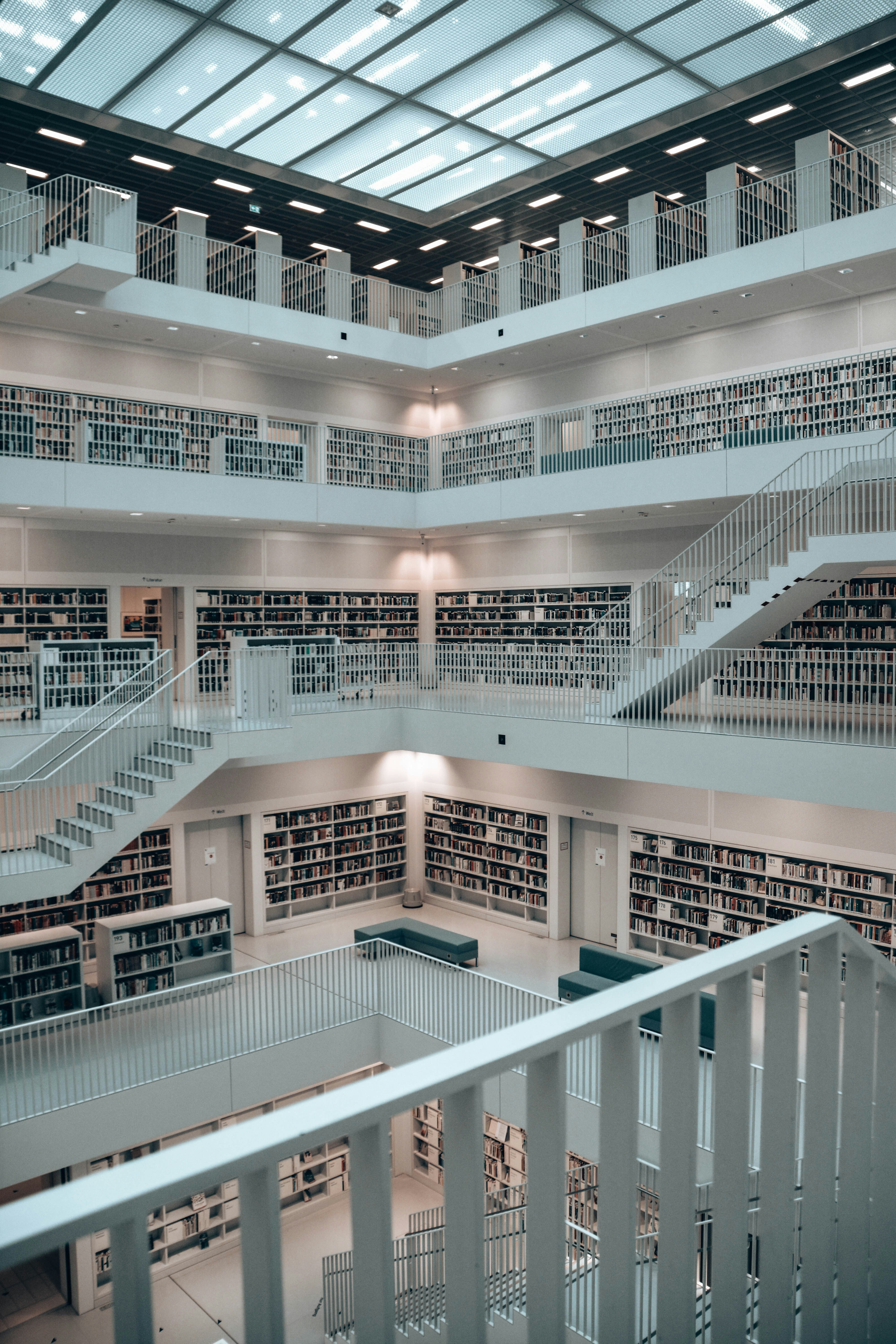 The Power and Paradox of Knowledge in Modern Society