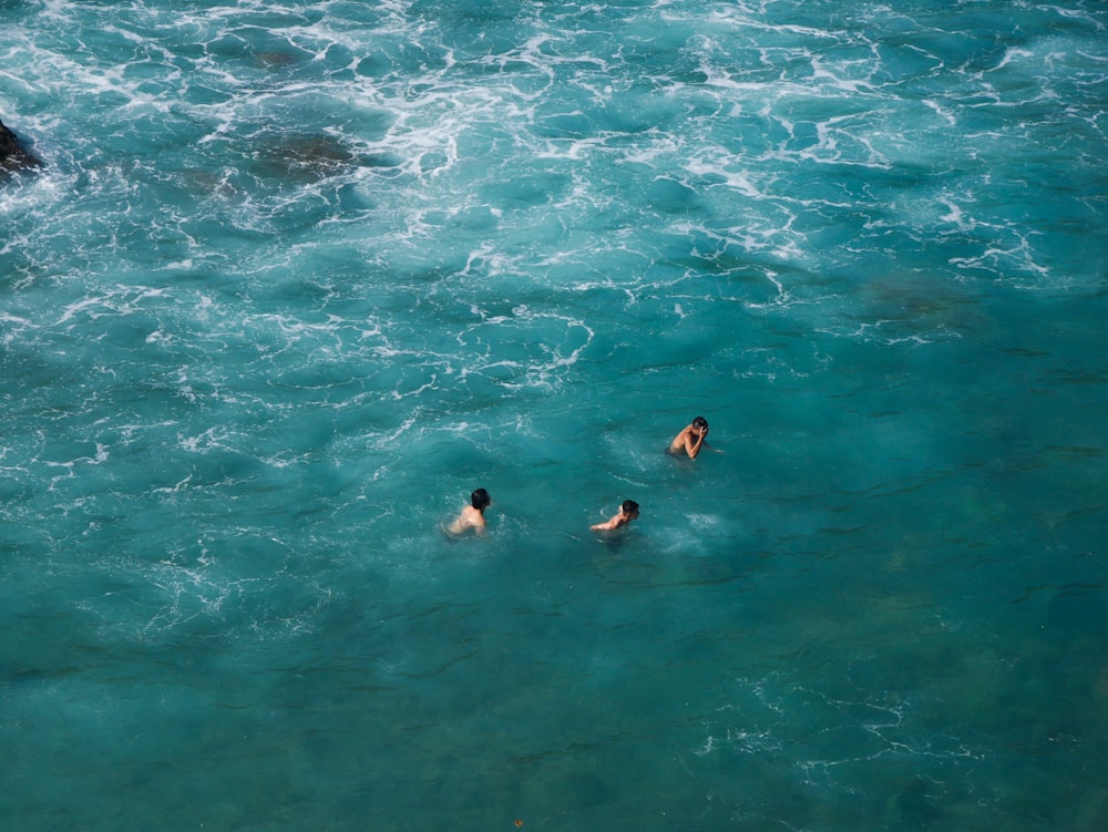 a group of people swimming in a body of water