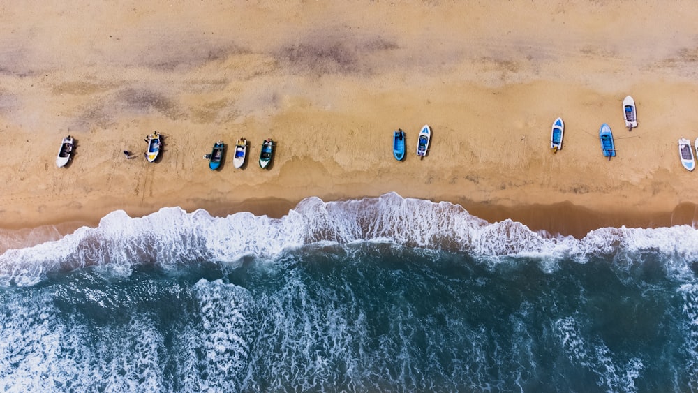 Un grupo de barcos sentados en la cima de una playa junto al océano