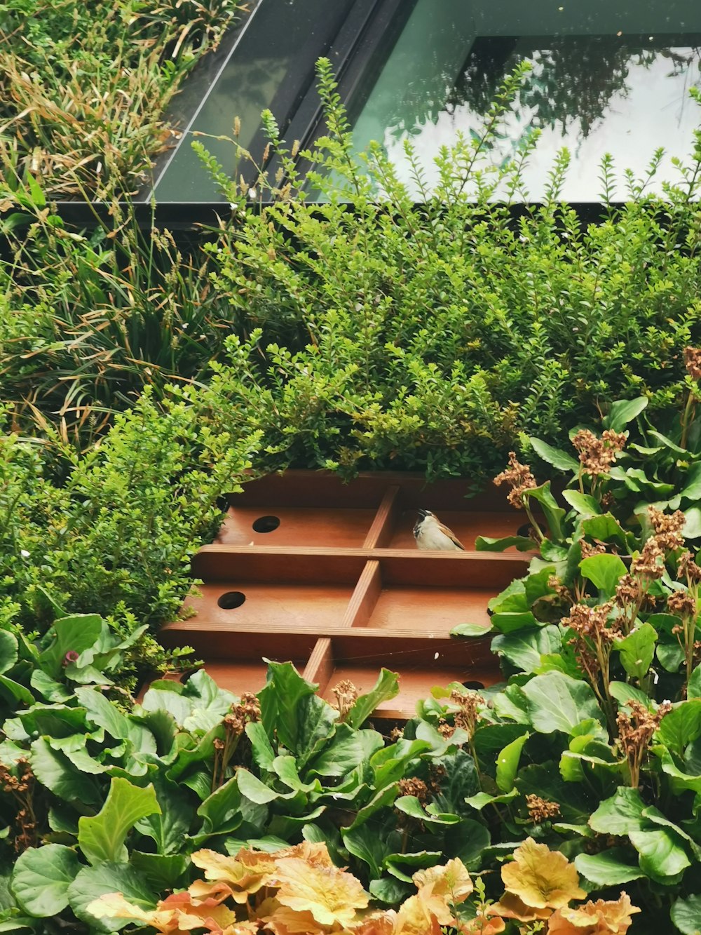 a beehive in the middle of a garden filled with flowers