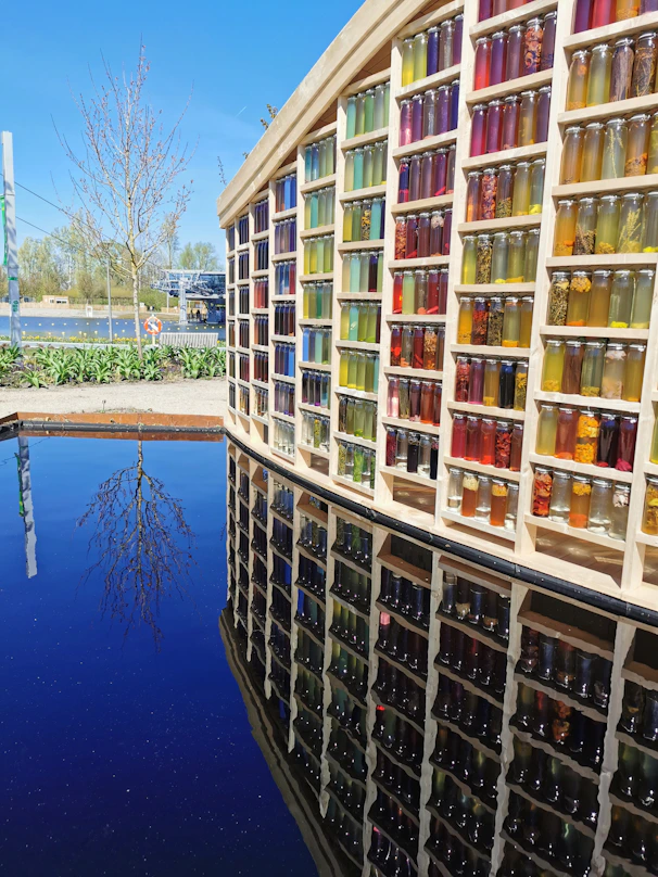 A vibrant display of colorful slime jars arranged on a wooden shelf with natural sunlight highlighting their textures.