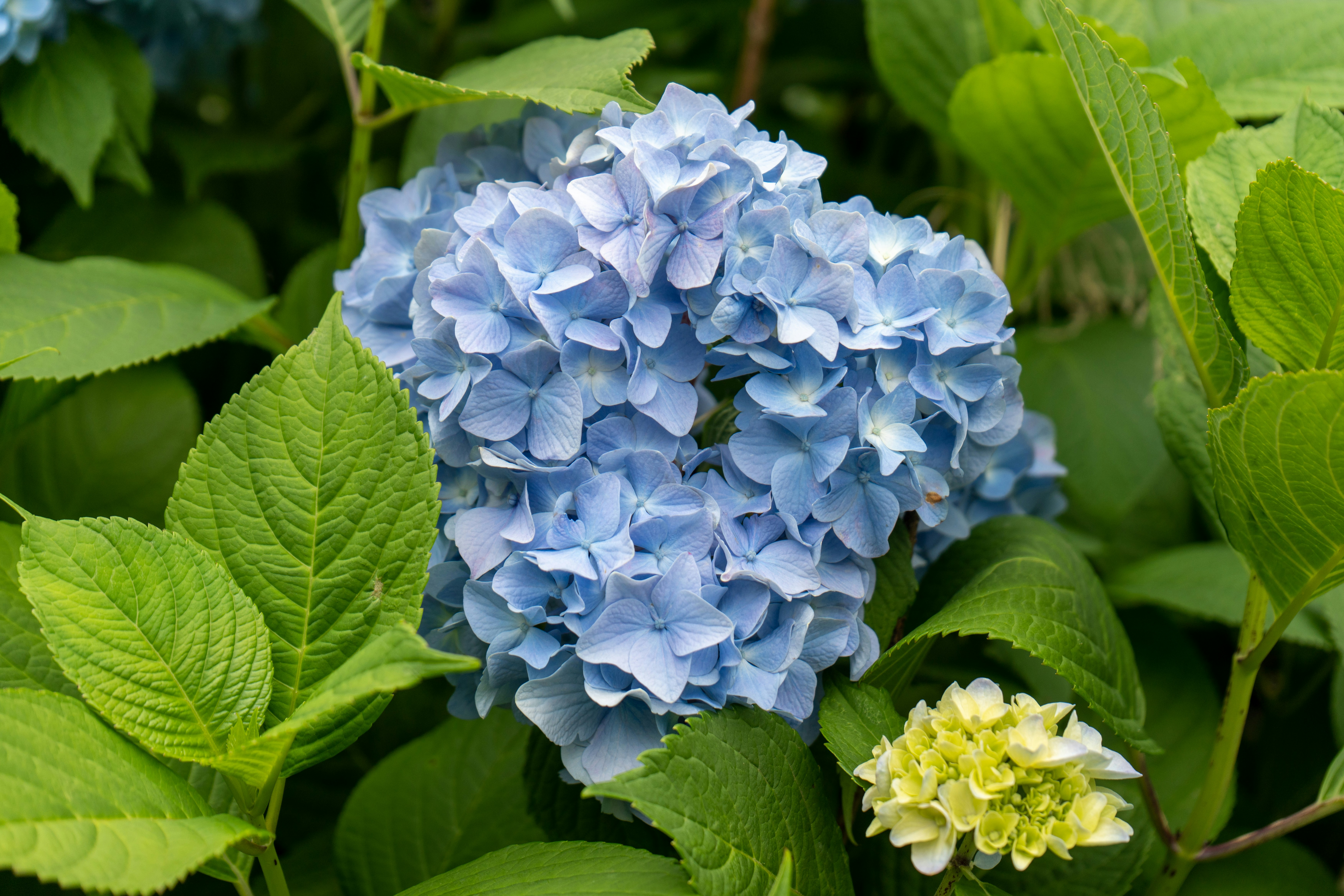 Photo by mark_omarov