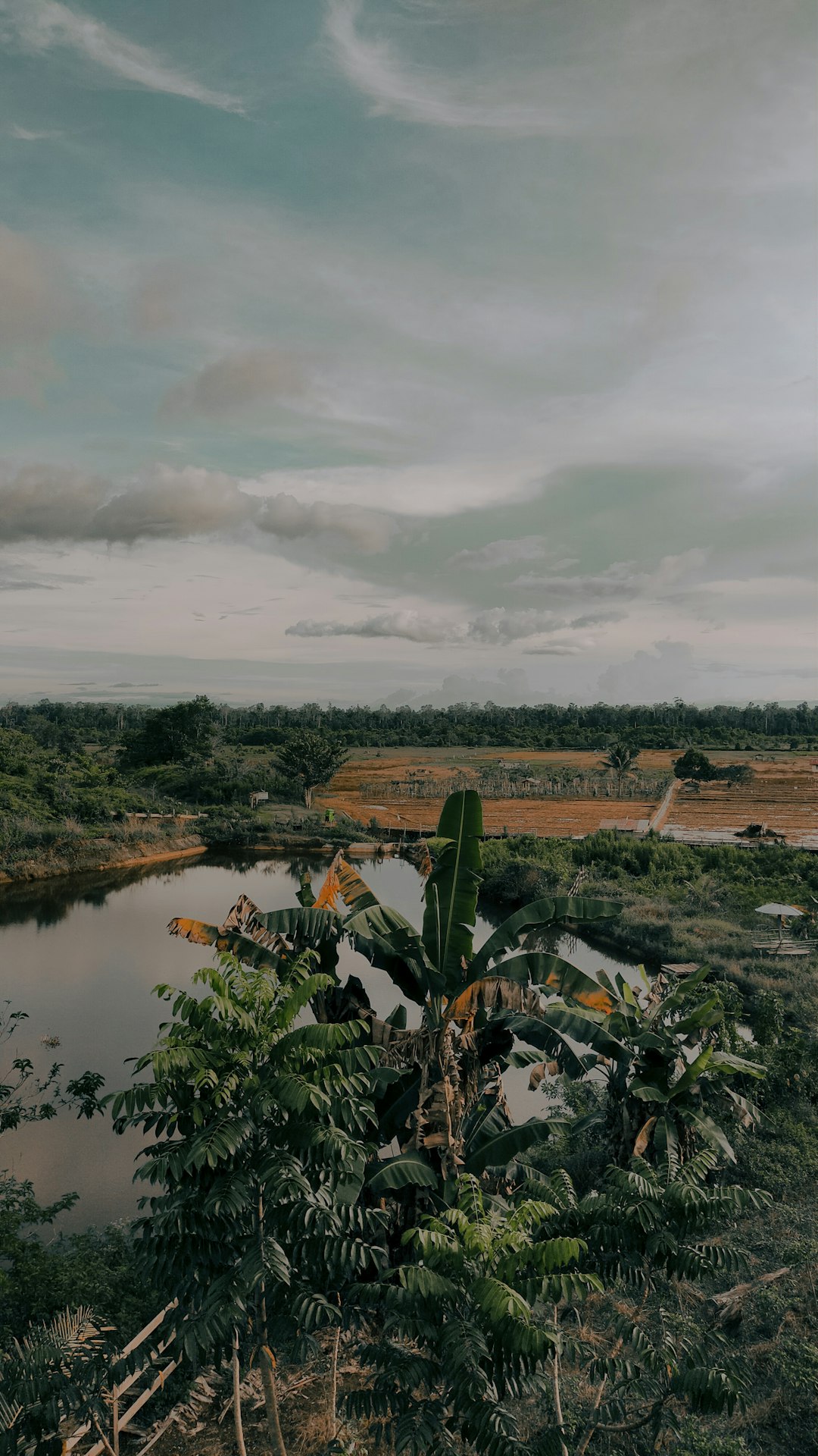 travelers stories about Ecoregion in Mbima Jaya, Indonesia