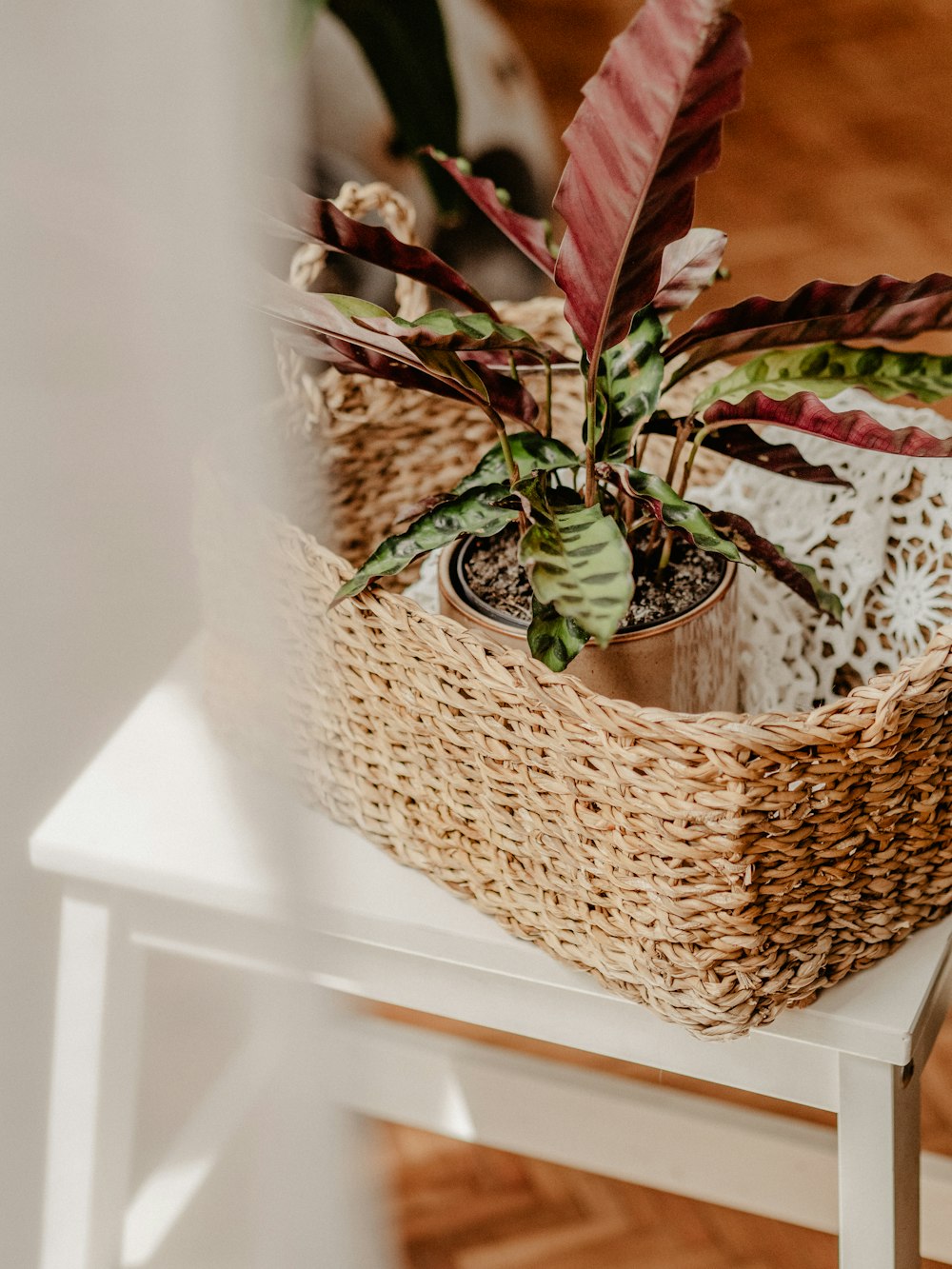 uma planta em uma cesta de vime sentada em uma cadeira branca