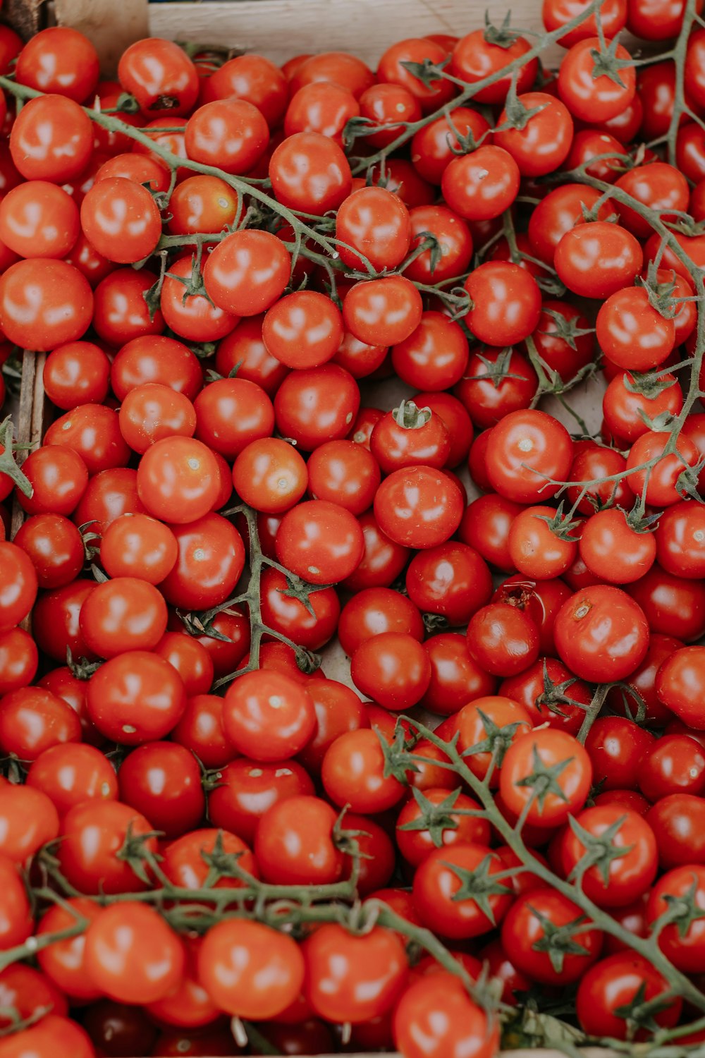 a pile of red tomatoes sitting on top of a table