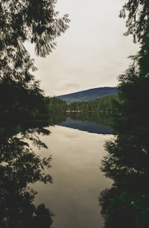 A calm lake reflecting surrounding pine trees and distant hills.