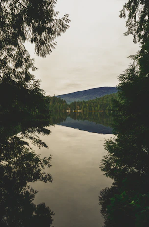 A serene lake reflecting the surrounding pine trees under a soft morning light.