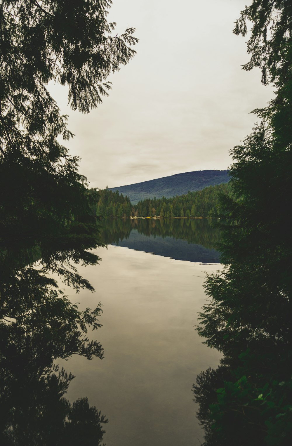 a body of water surrounded by trees