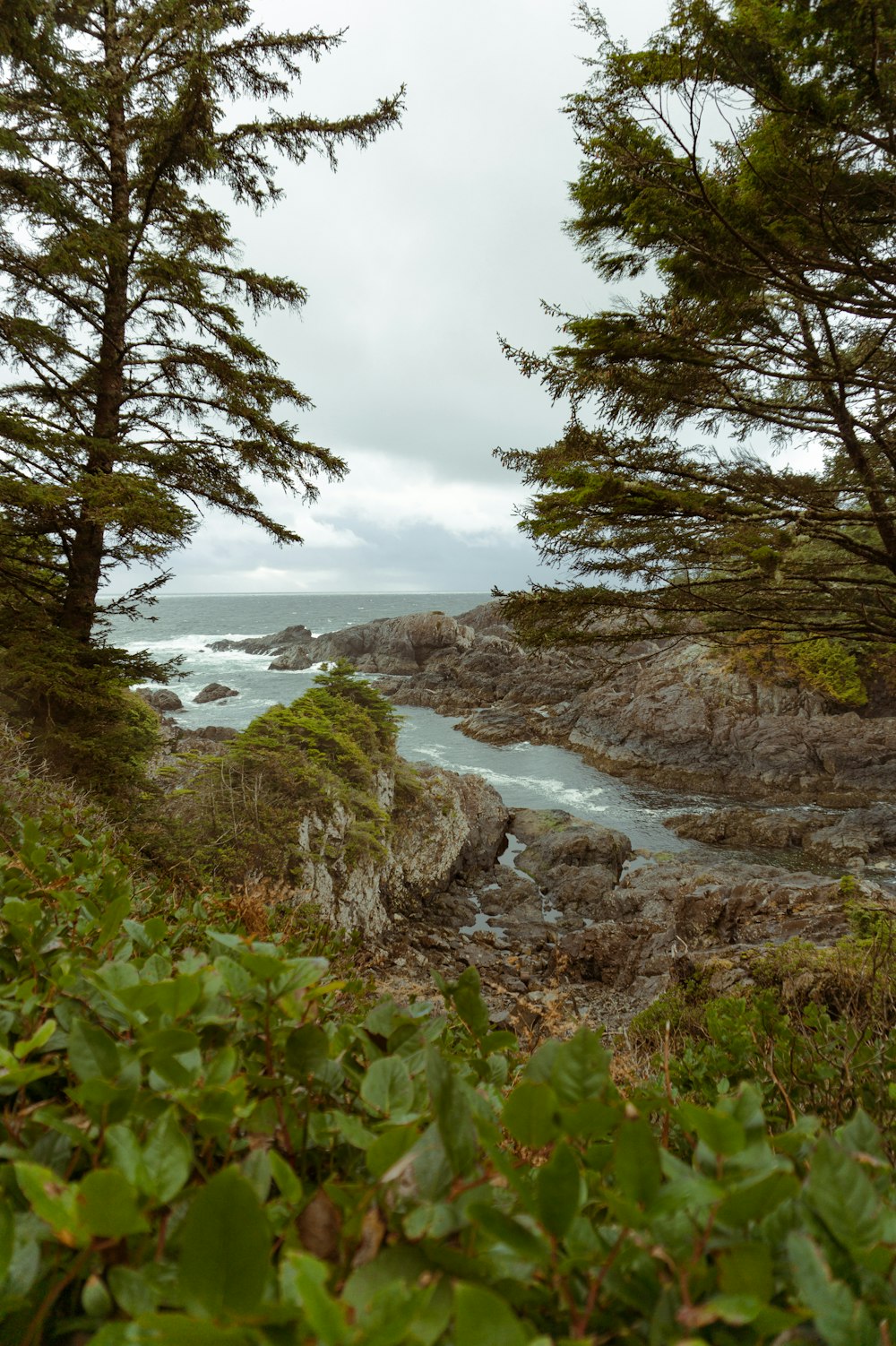 a view of a body of water through some trees