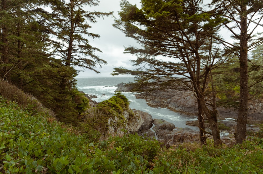 a scenic view of the ocean from a cliff