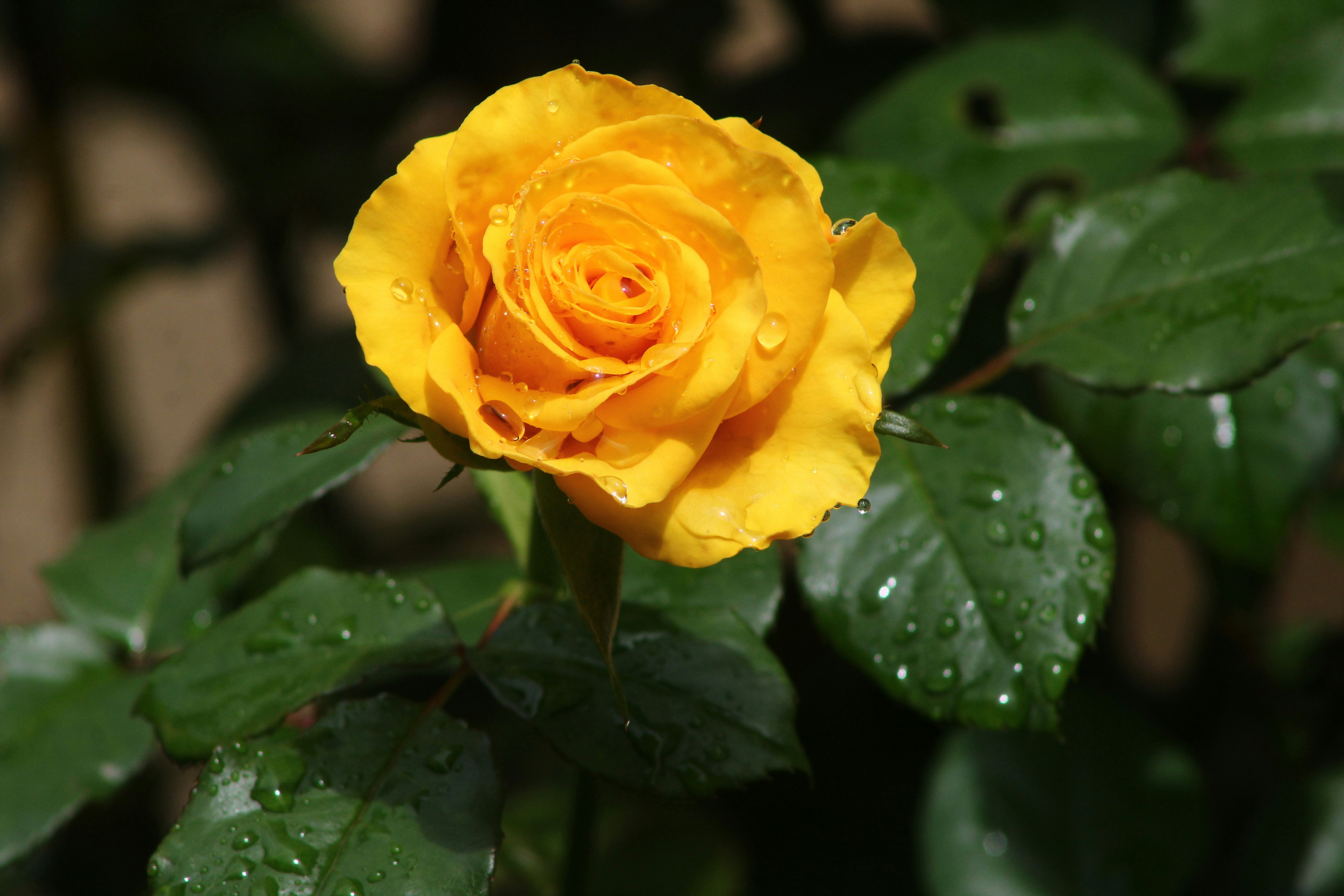 Photo by jedwardmarshall001