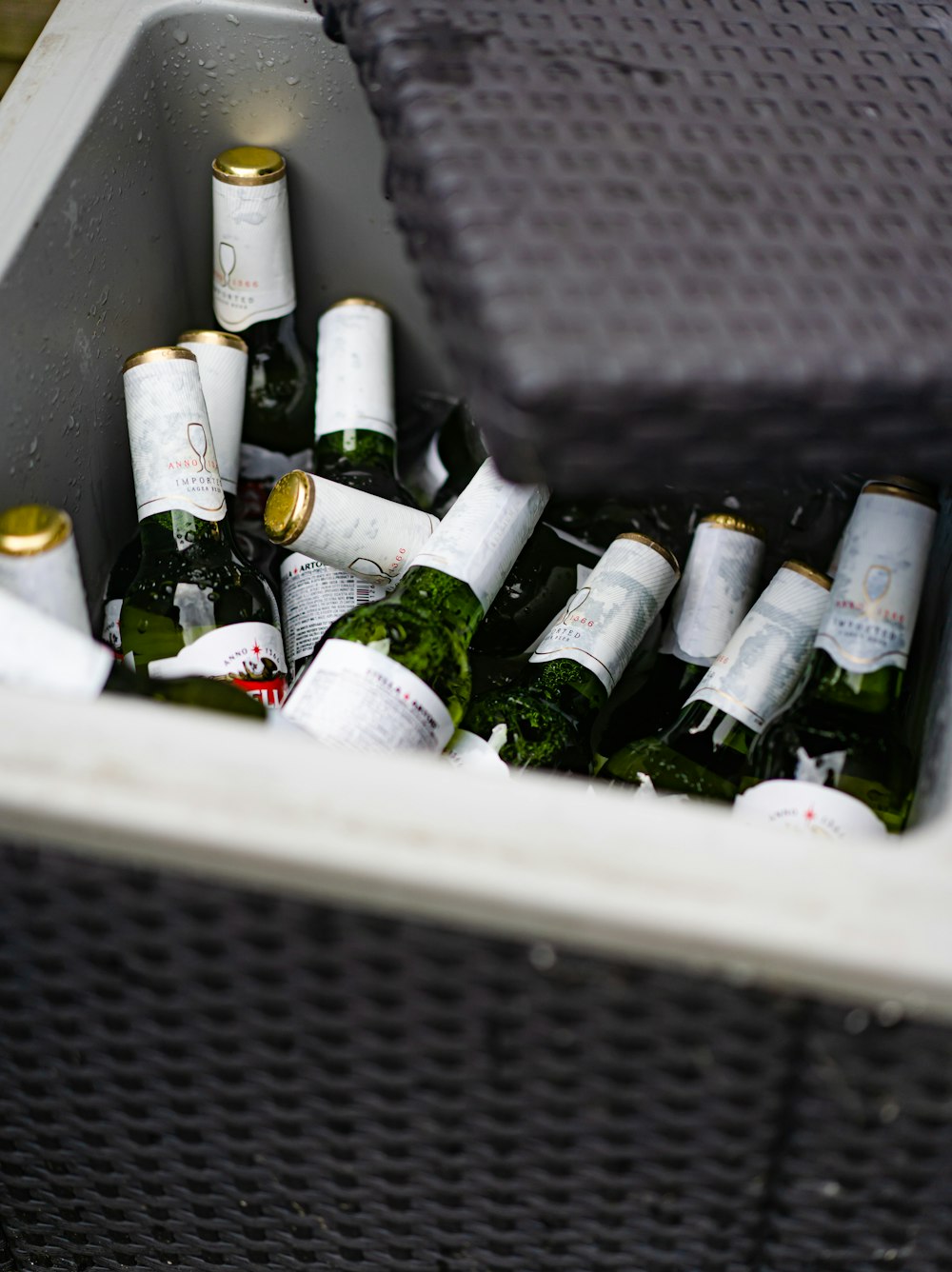 a cooler filled with lots of bottles of wine