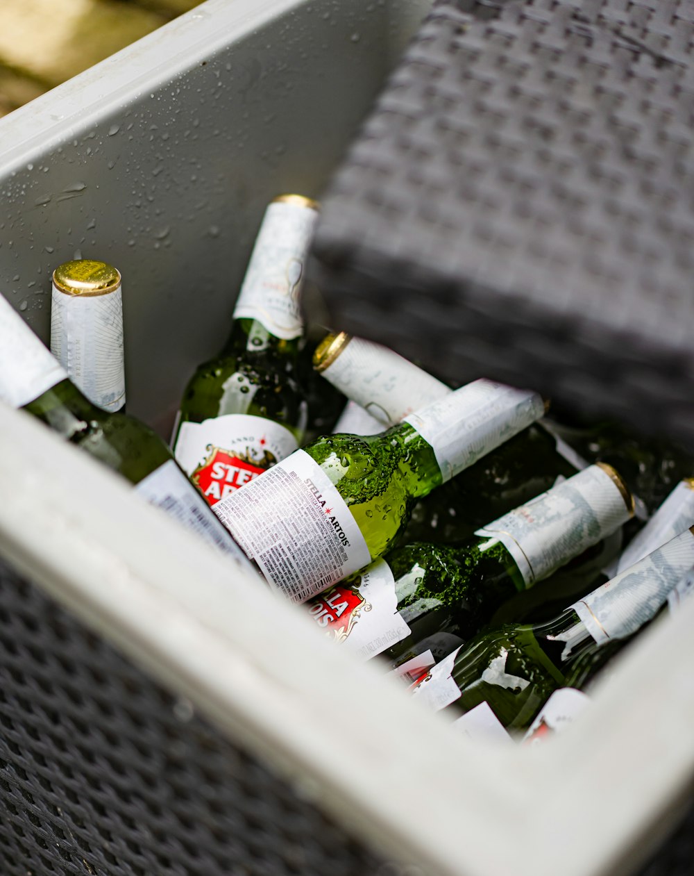 a cooler filled with lots of bottles of beer