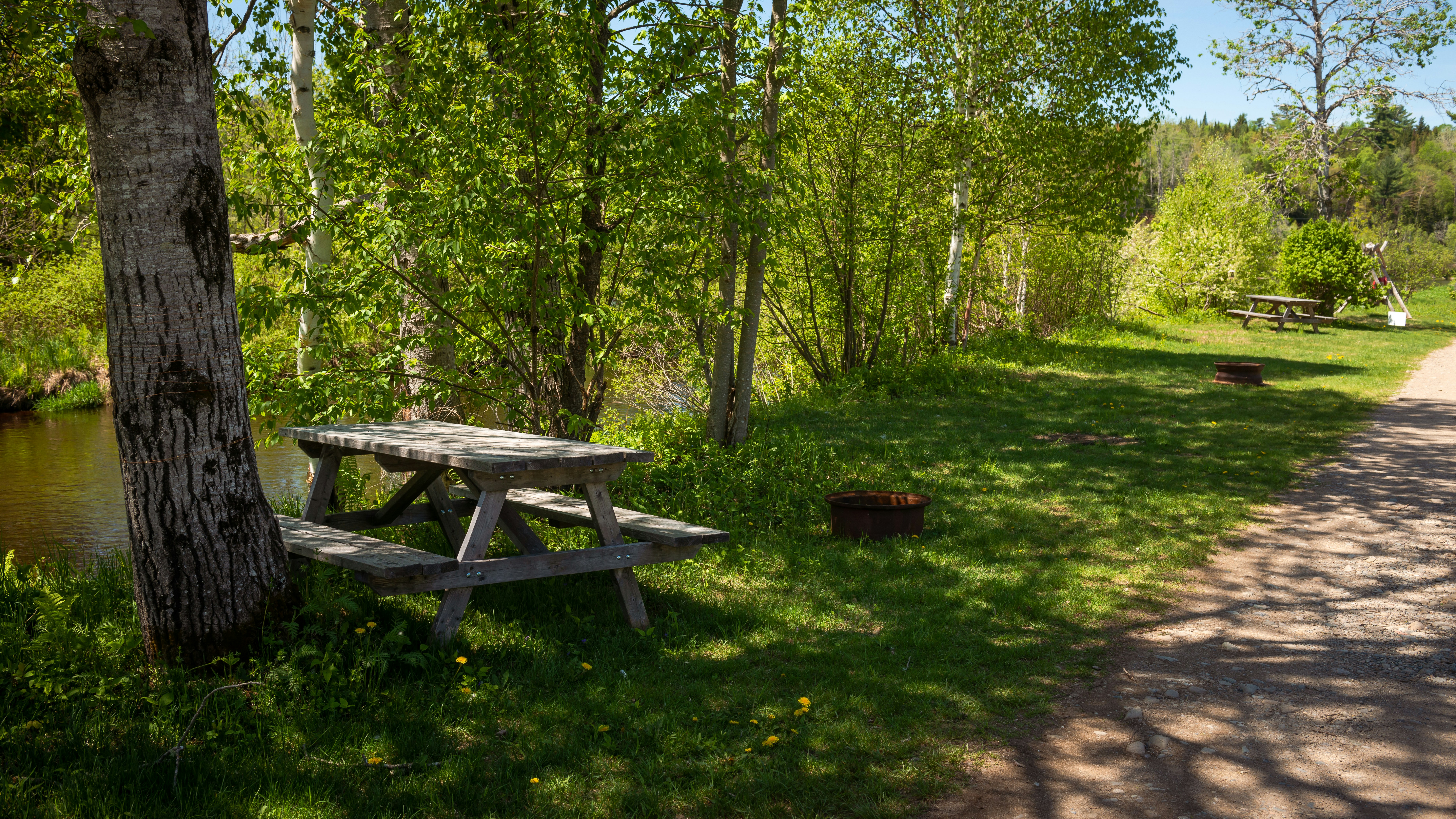 Richardson's Pond Picnic area