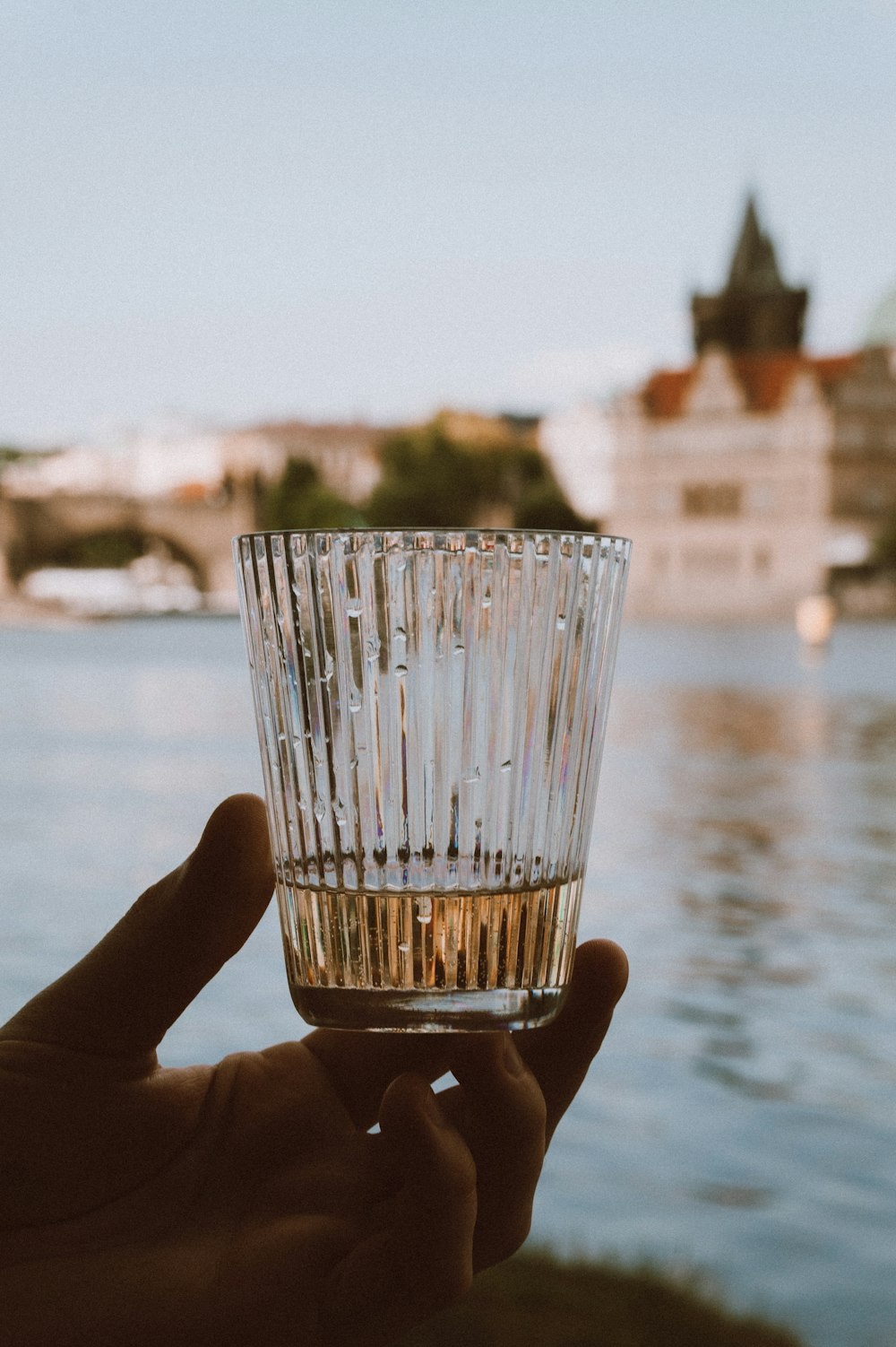 a person holding a glass in front of a body of water