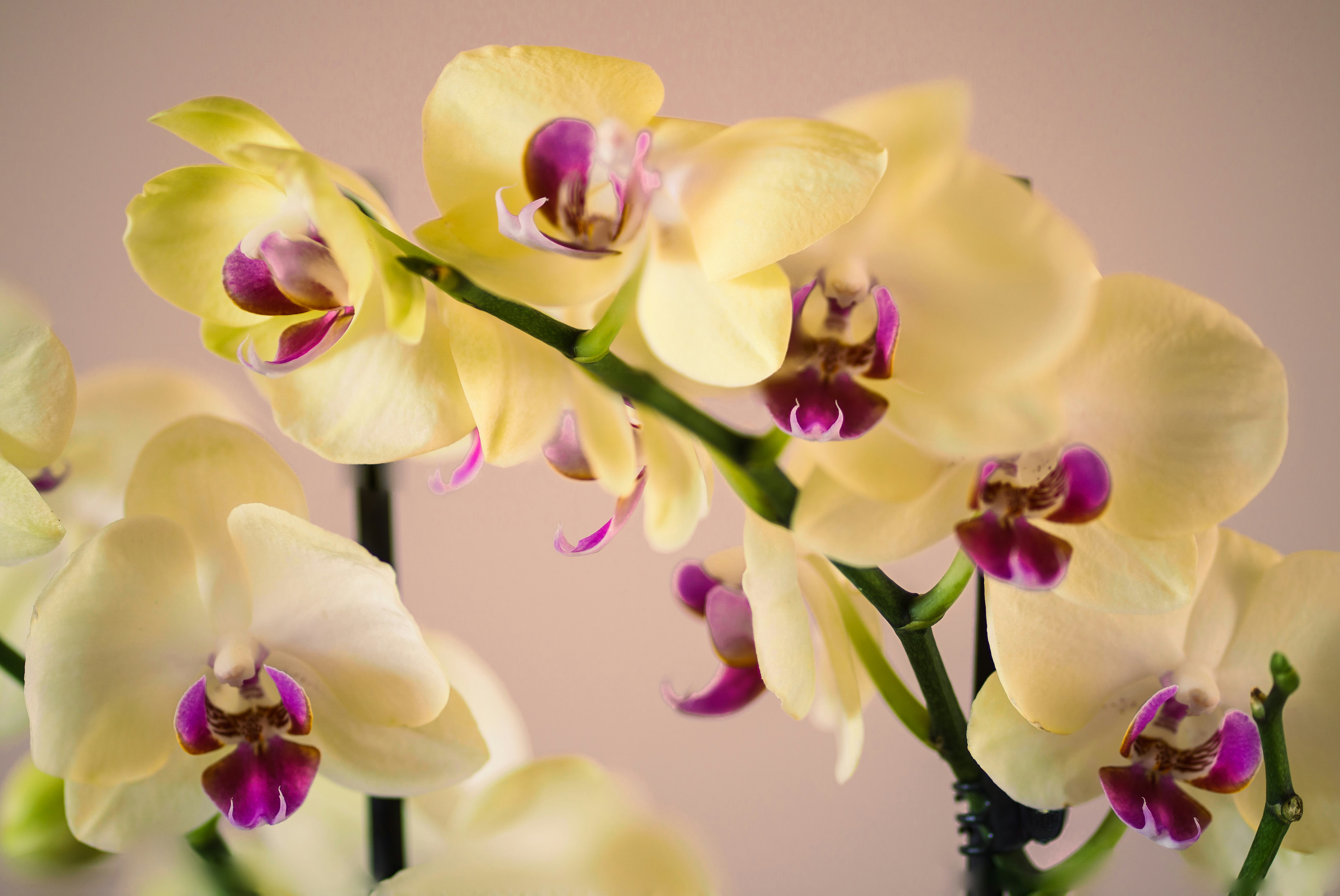 Photo by earl_plannerzone