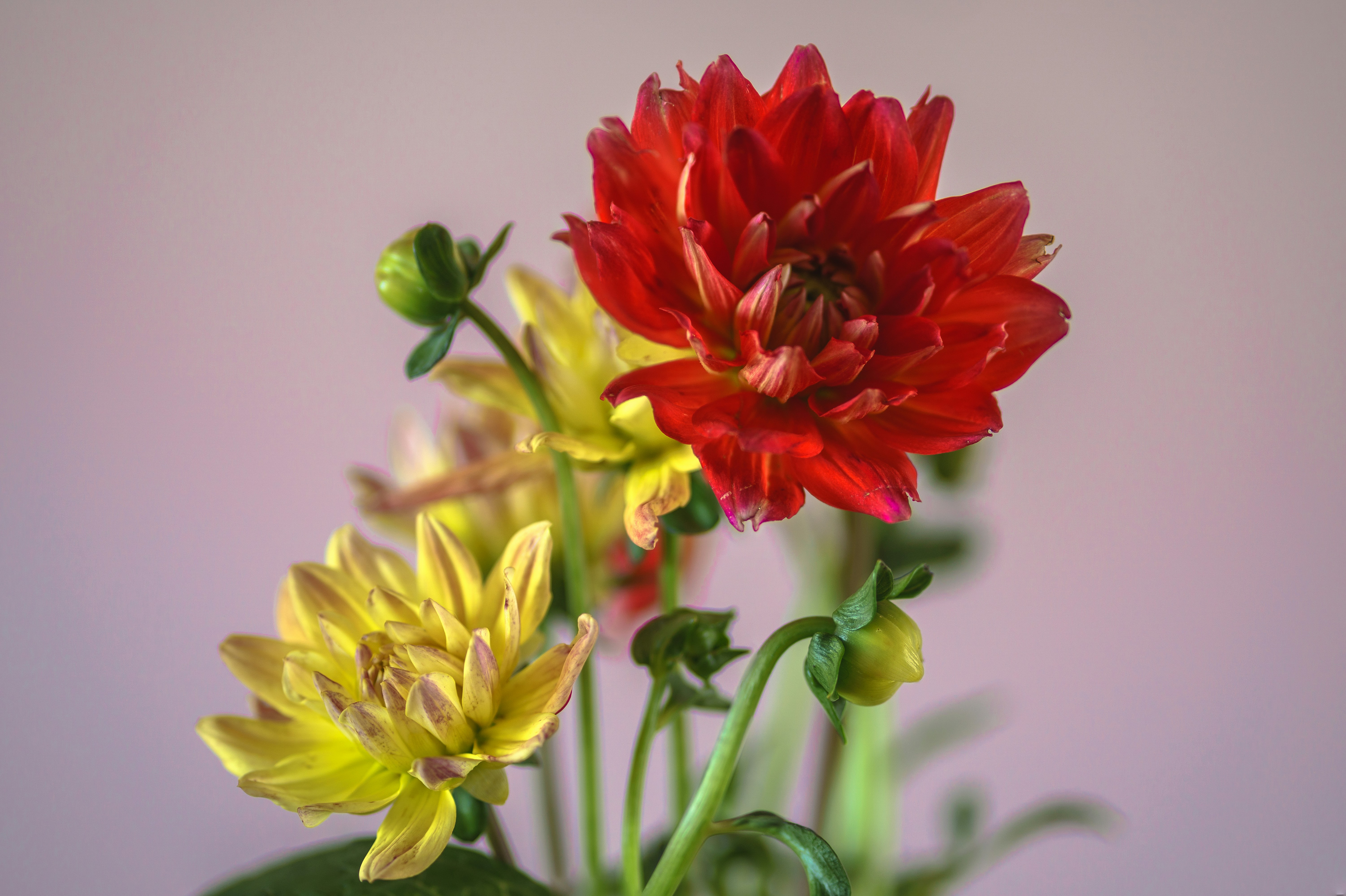 Photo by earl_plannerzone