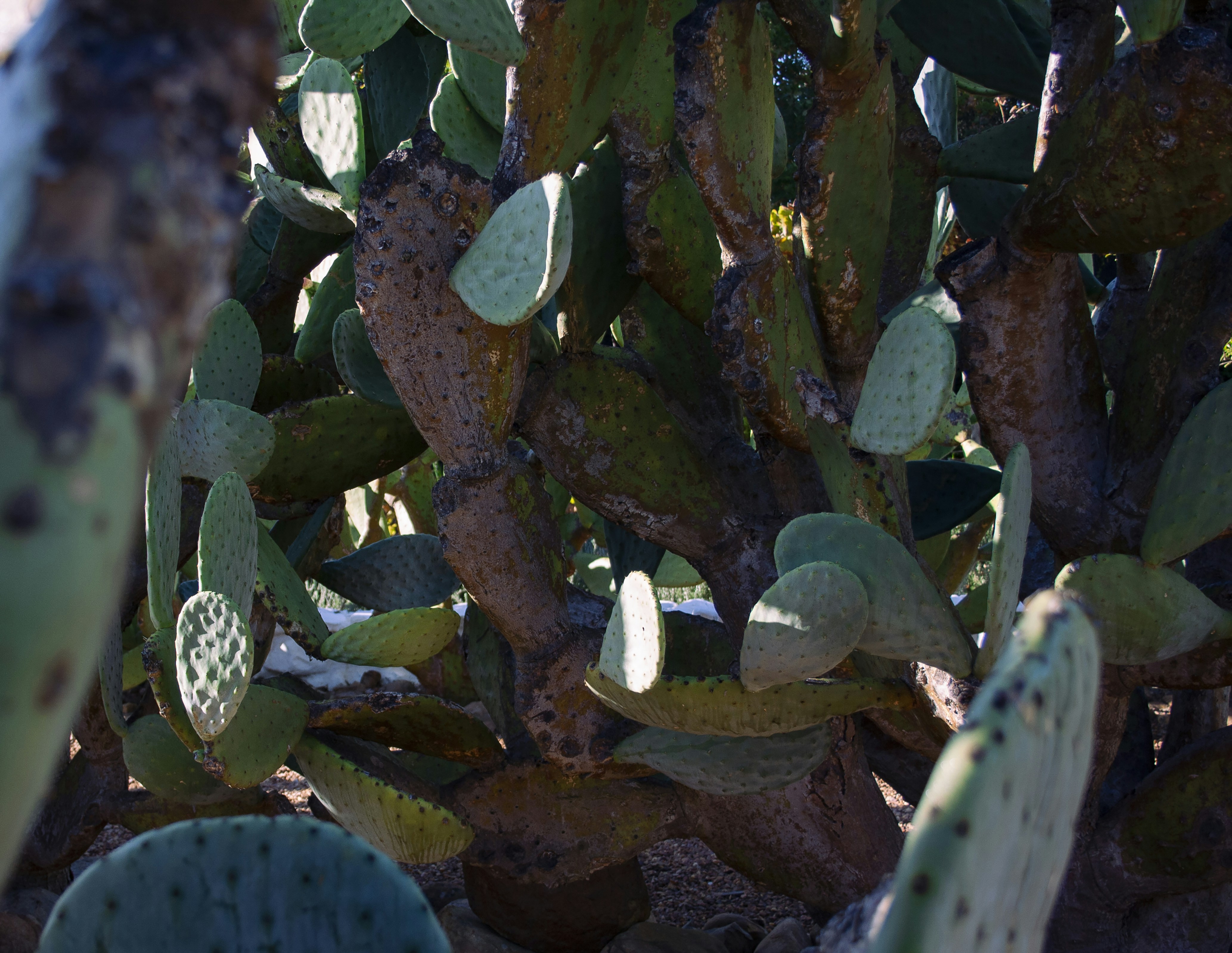 Photo by amy_harrison