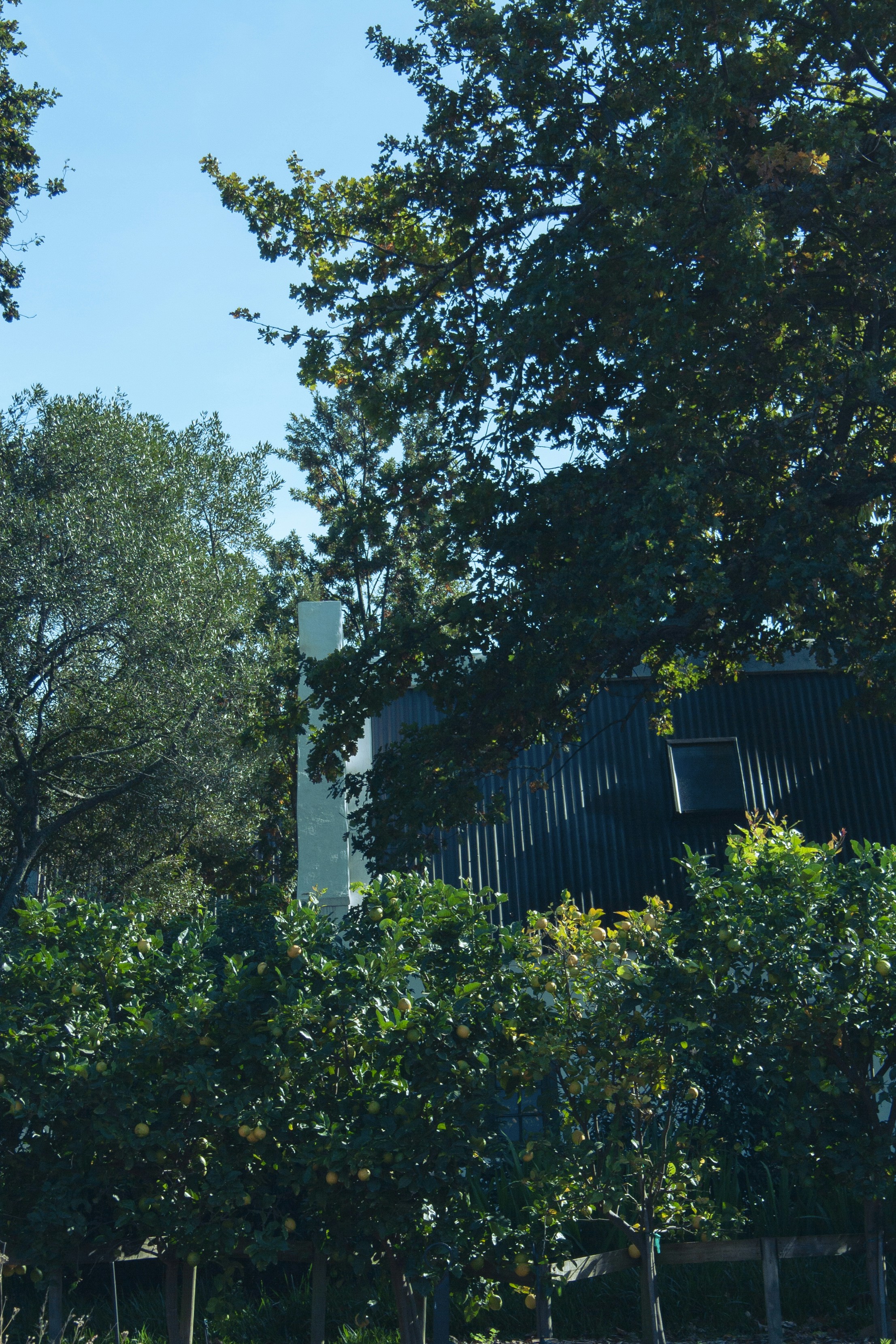 Photo by amy_harrison