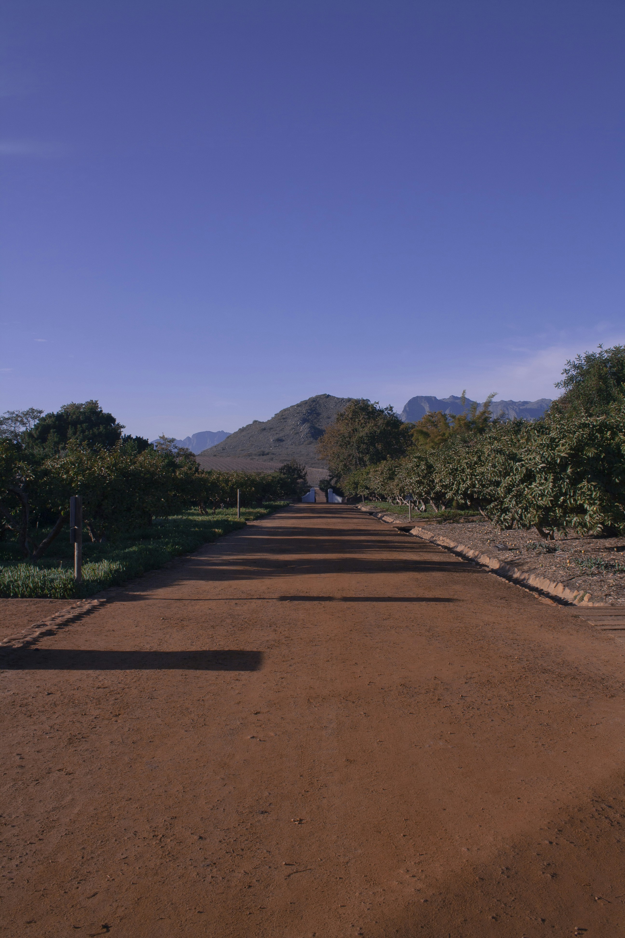 Day 6: Oudtshoorn to George (Garden Route Gateway)