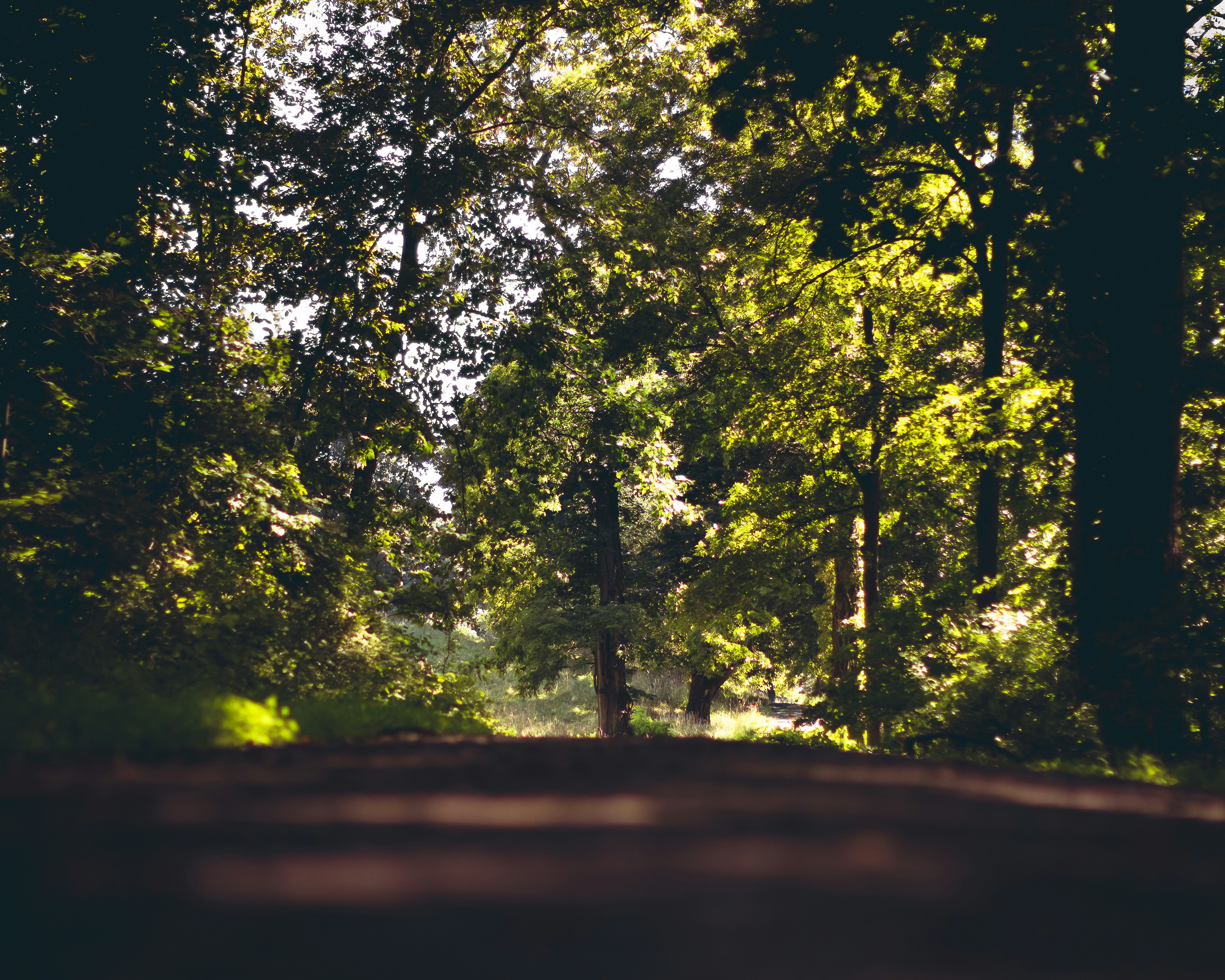 Photo by emmanuelphaeton