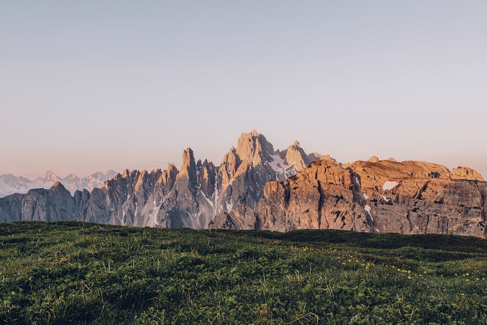 a mountain range with grass and flowers in the foreground