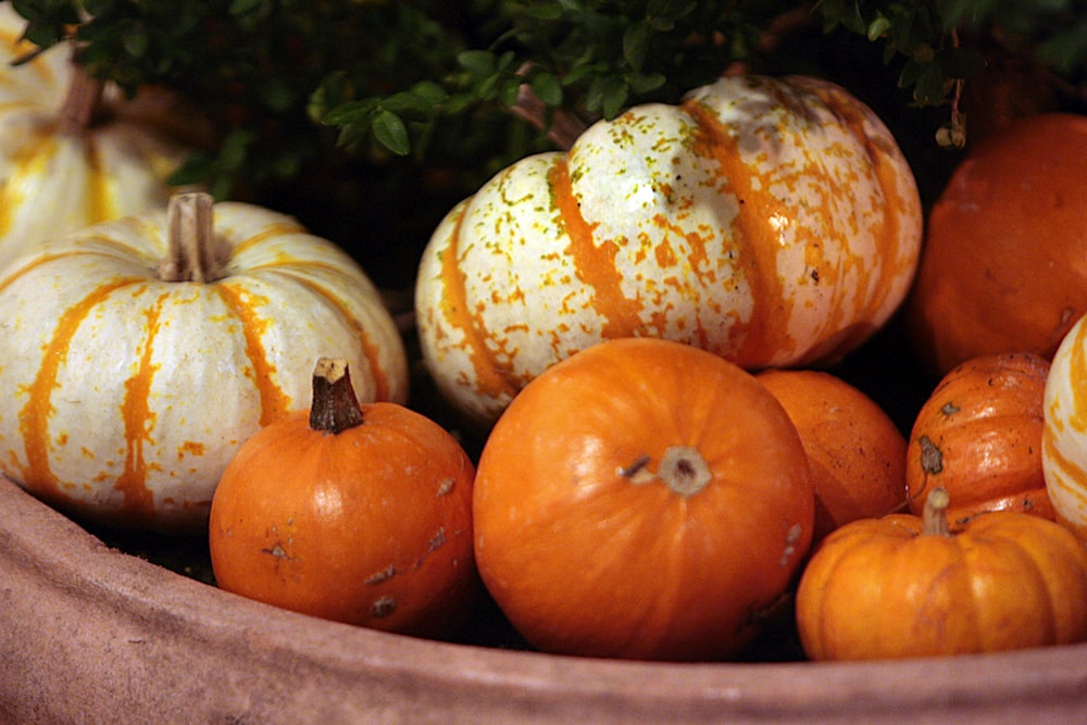 a close up of a bowl of pumpkins