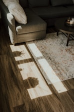 a living room with a couch and a rug