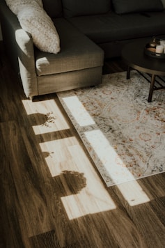 a living room with a couch and a rug