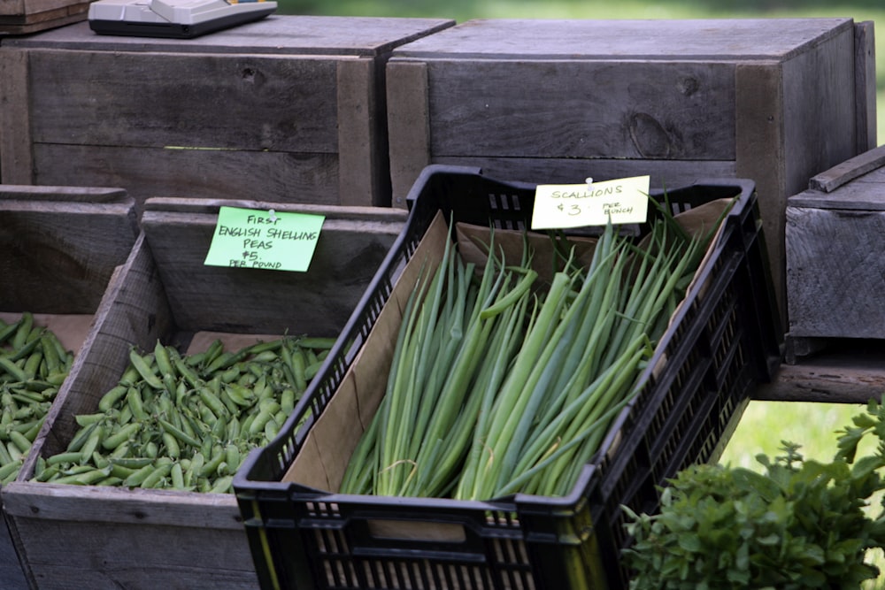 a pile of green onions sitting on top of a wooden crate