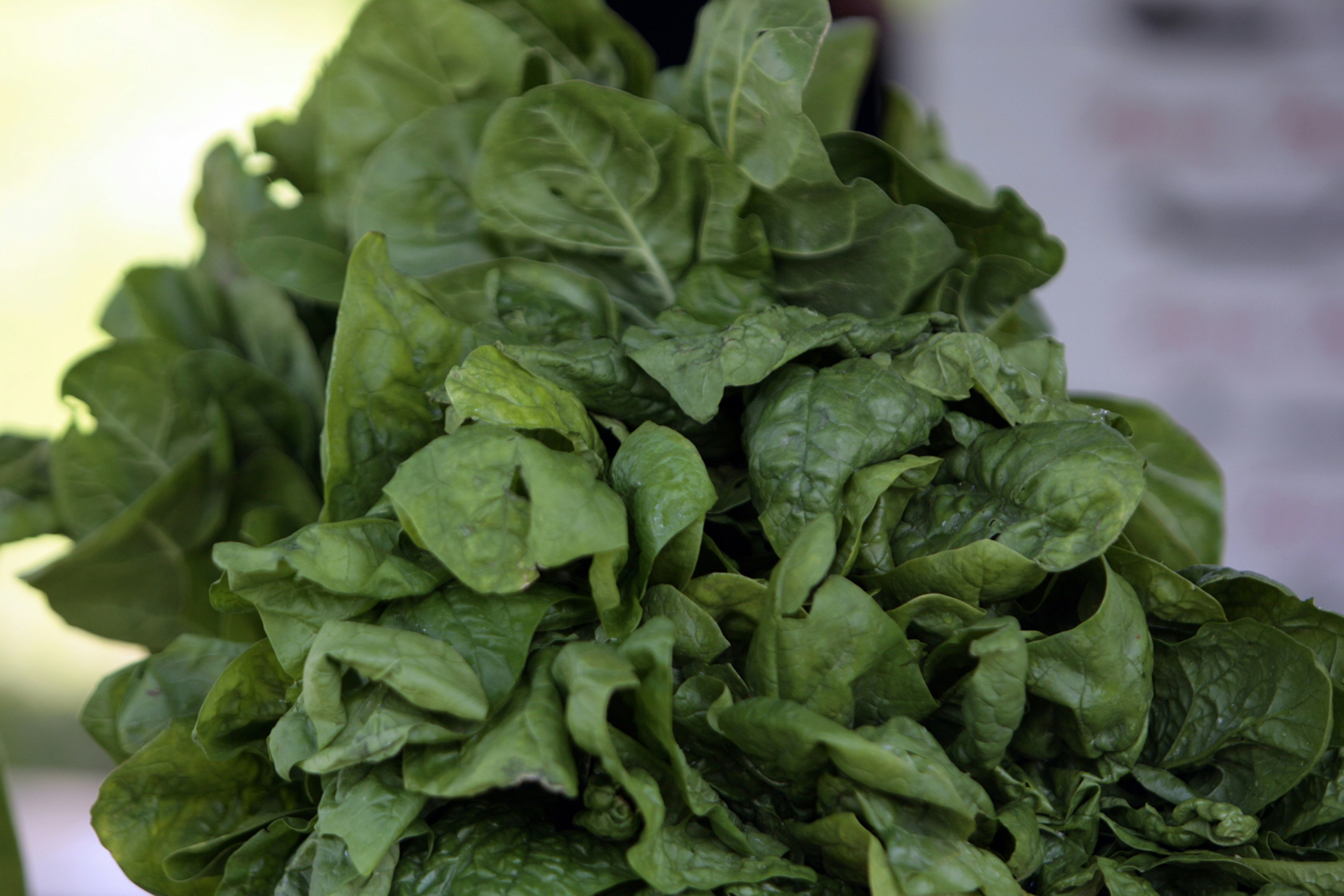 Spinach and Oxalates: Is It Too Much of a Good Thing? 5 Proven
