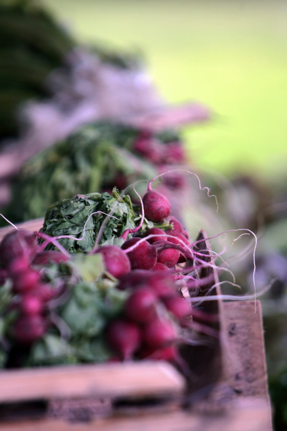 a bunch of radishes sitting on top of a wooden crate