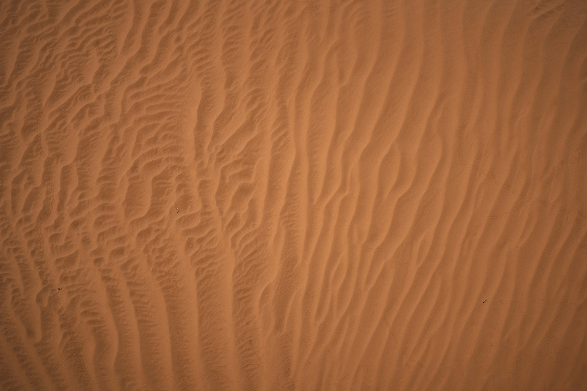 a sand dune with a small patch of grass in the middle of it