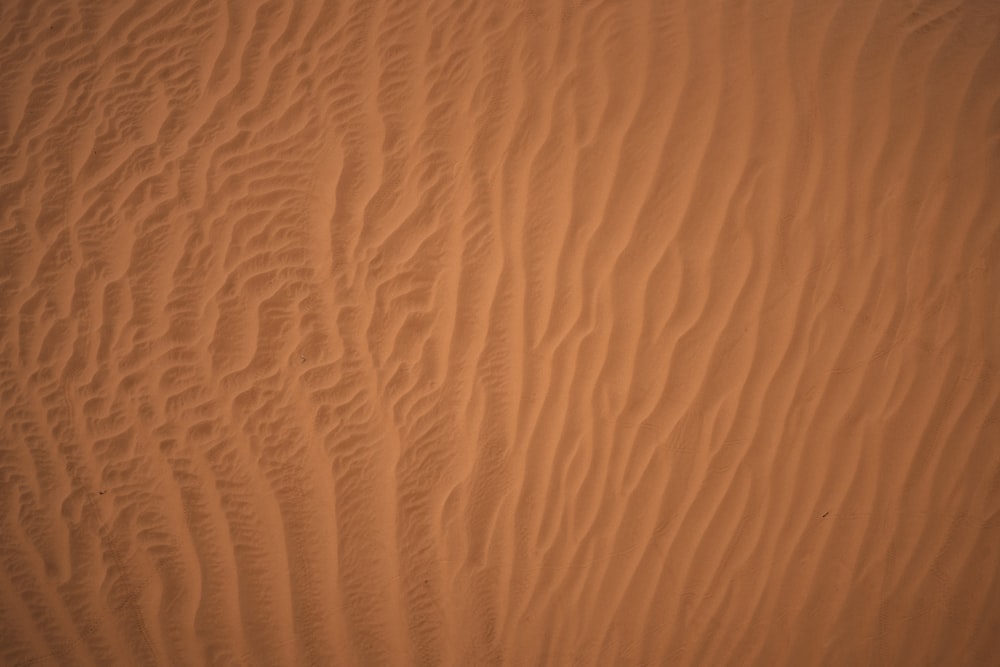 a sand dune with a small patch of grass in the middle of it